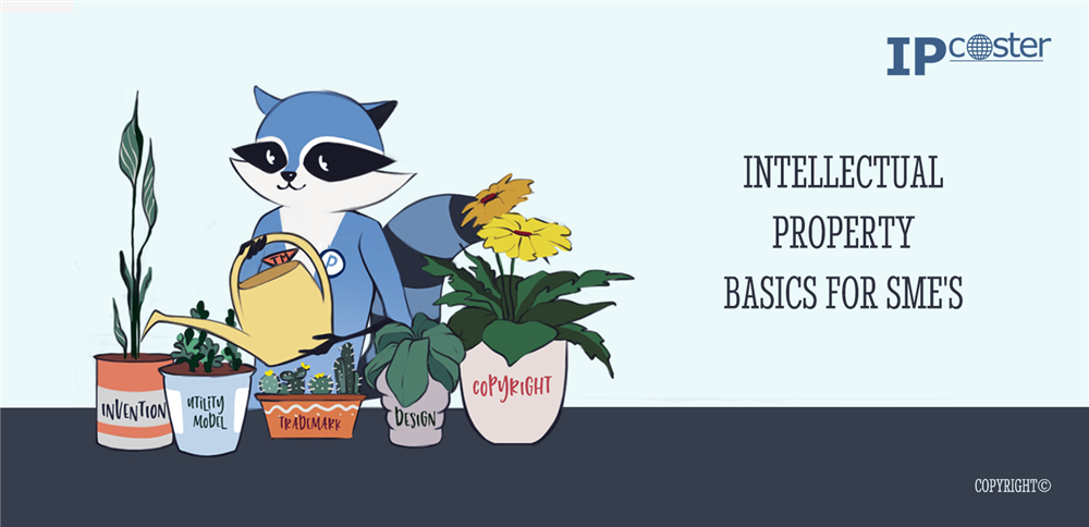 Intellectual property basis for SME's