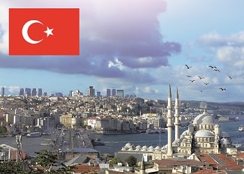 A substantial decrease in the IP related fees in Turkey