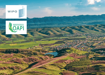 Updates on international IP registration systems: PCT, Hague System, OAPI Updates on international IP registration systems: PCT, Hague System, OAPI