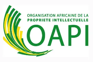 Flag OAPI