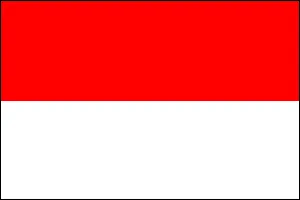 Flag Indonesia