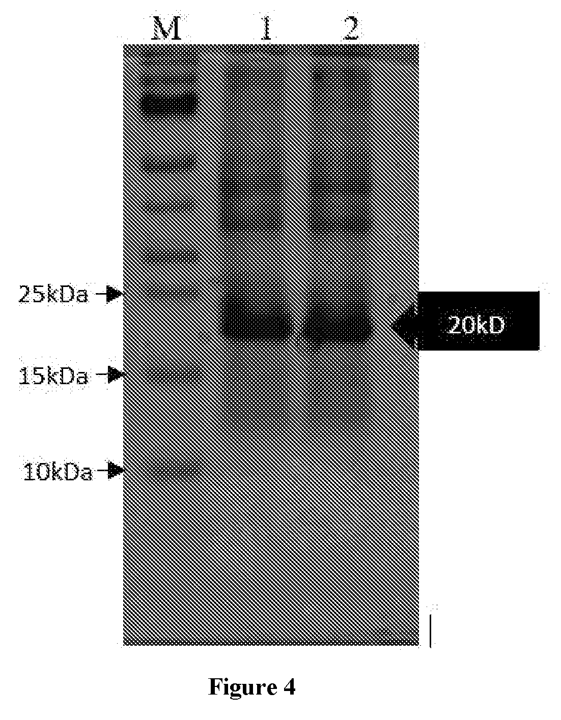 front page image