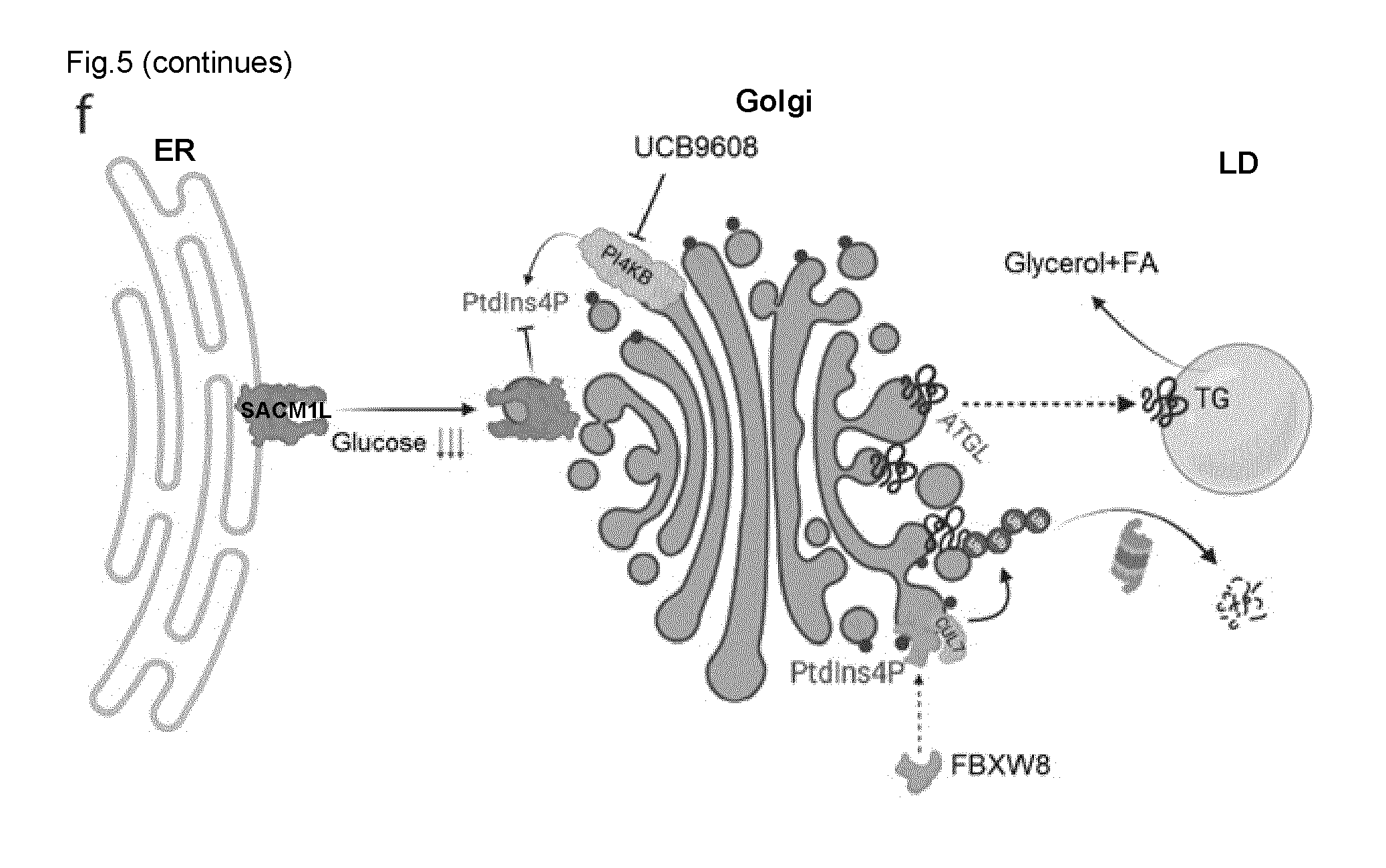 front page image