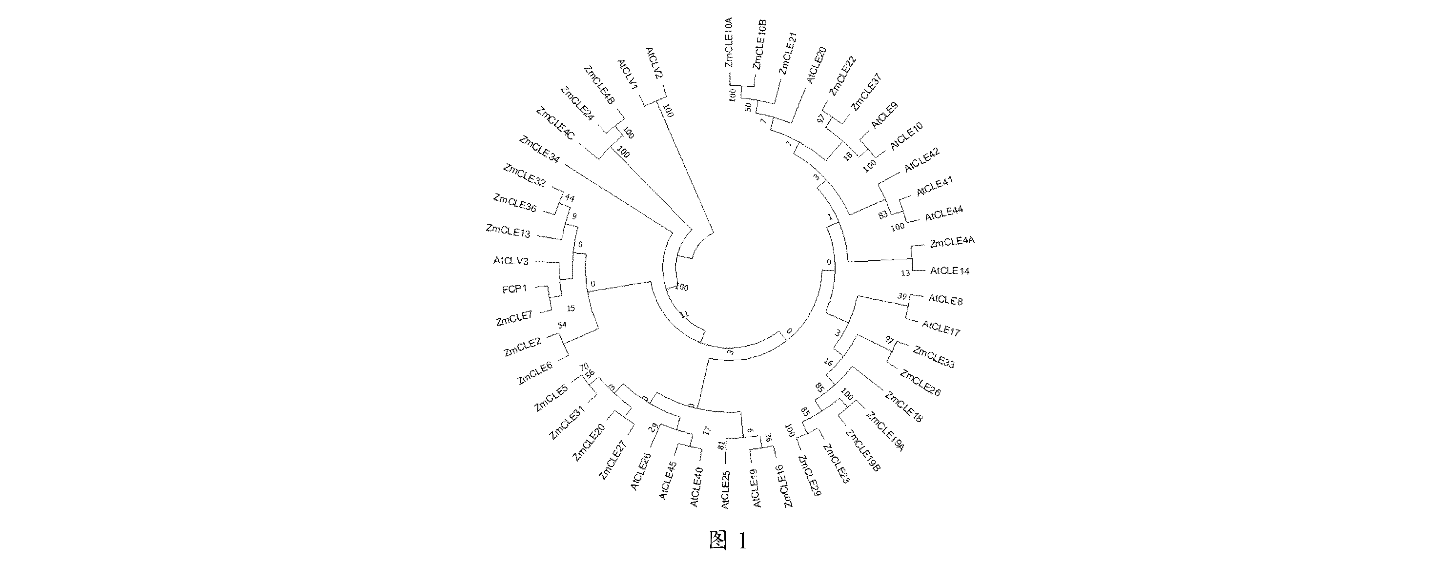front page image