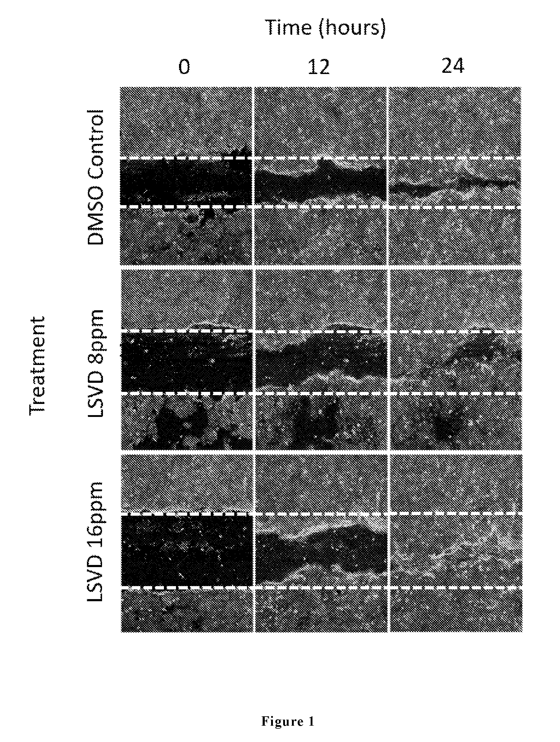 front page image