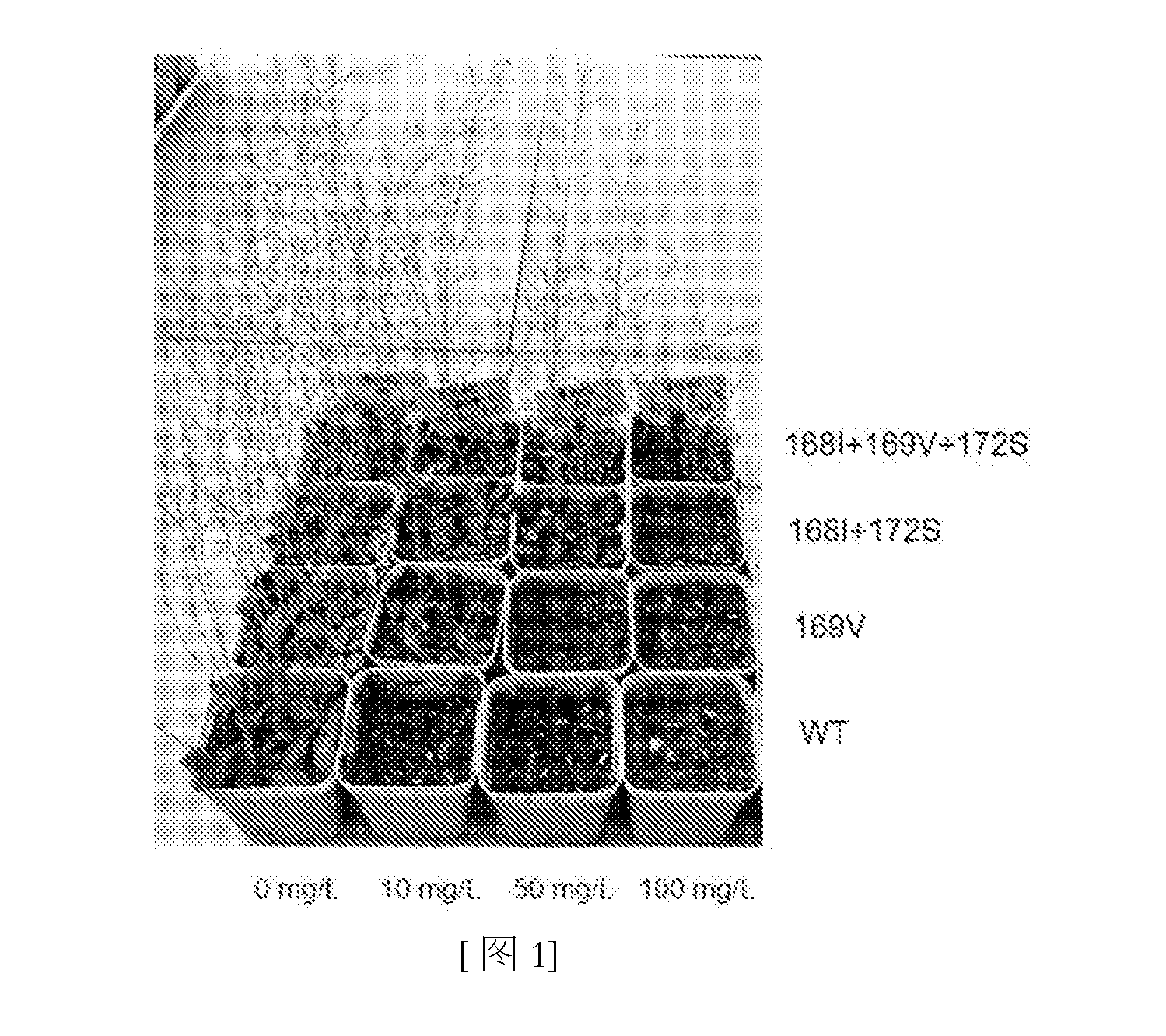 front page image