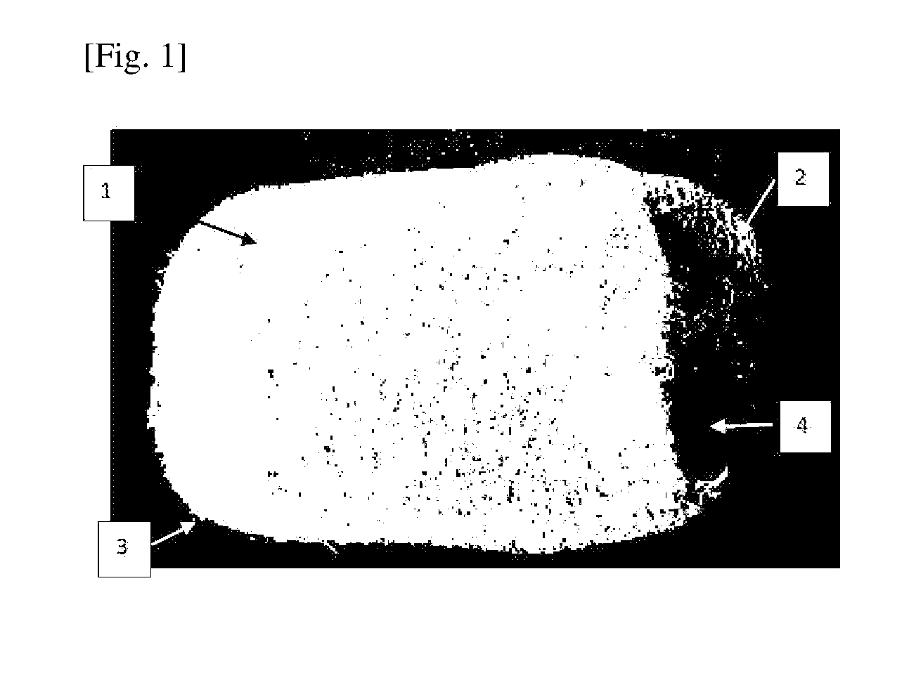 front page image