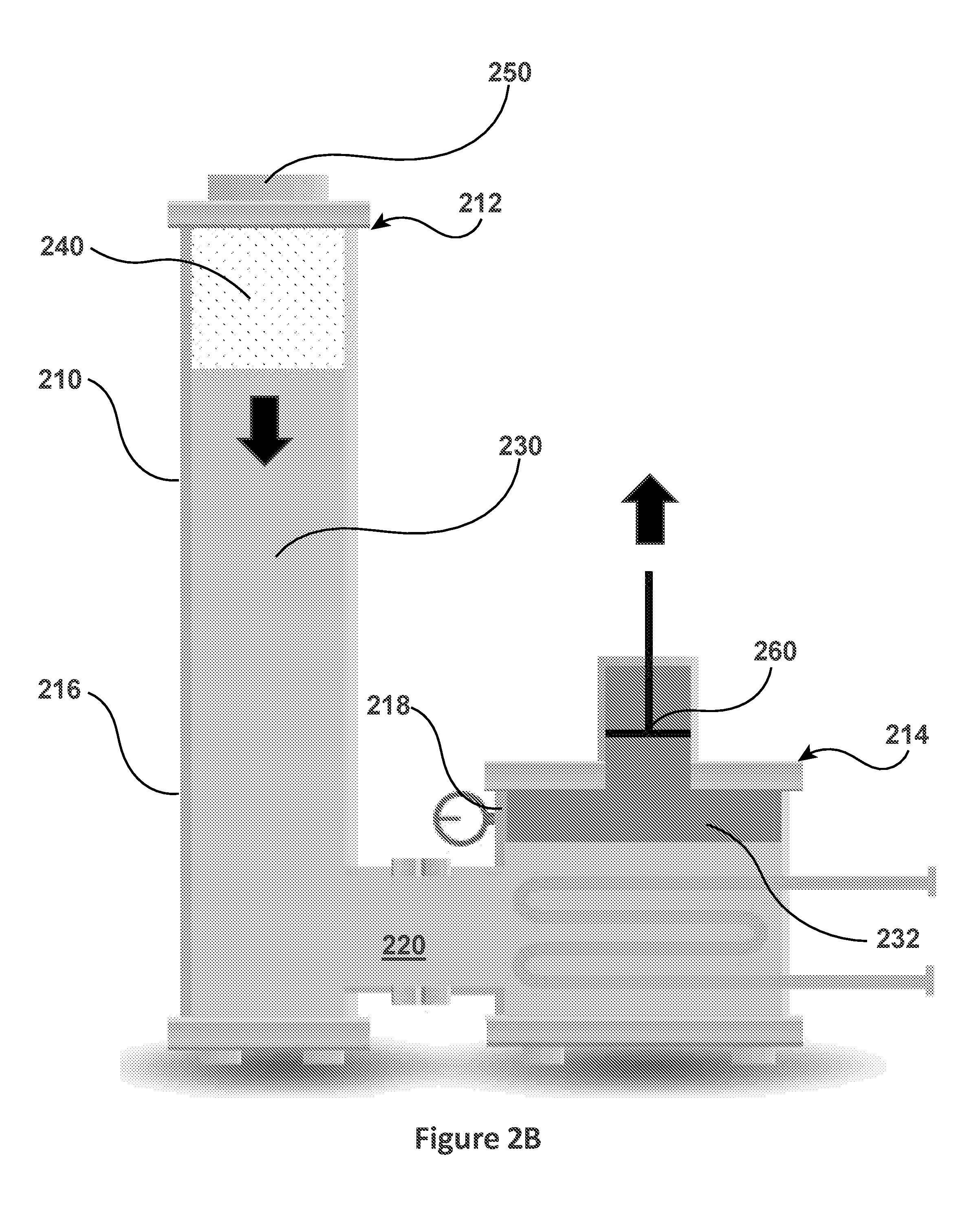 front page image