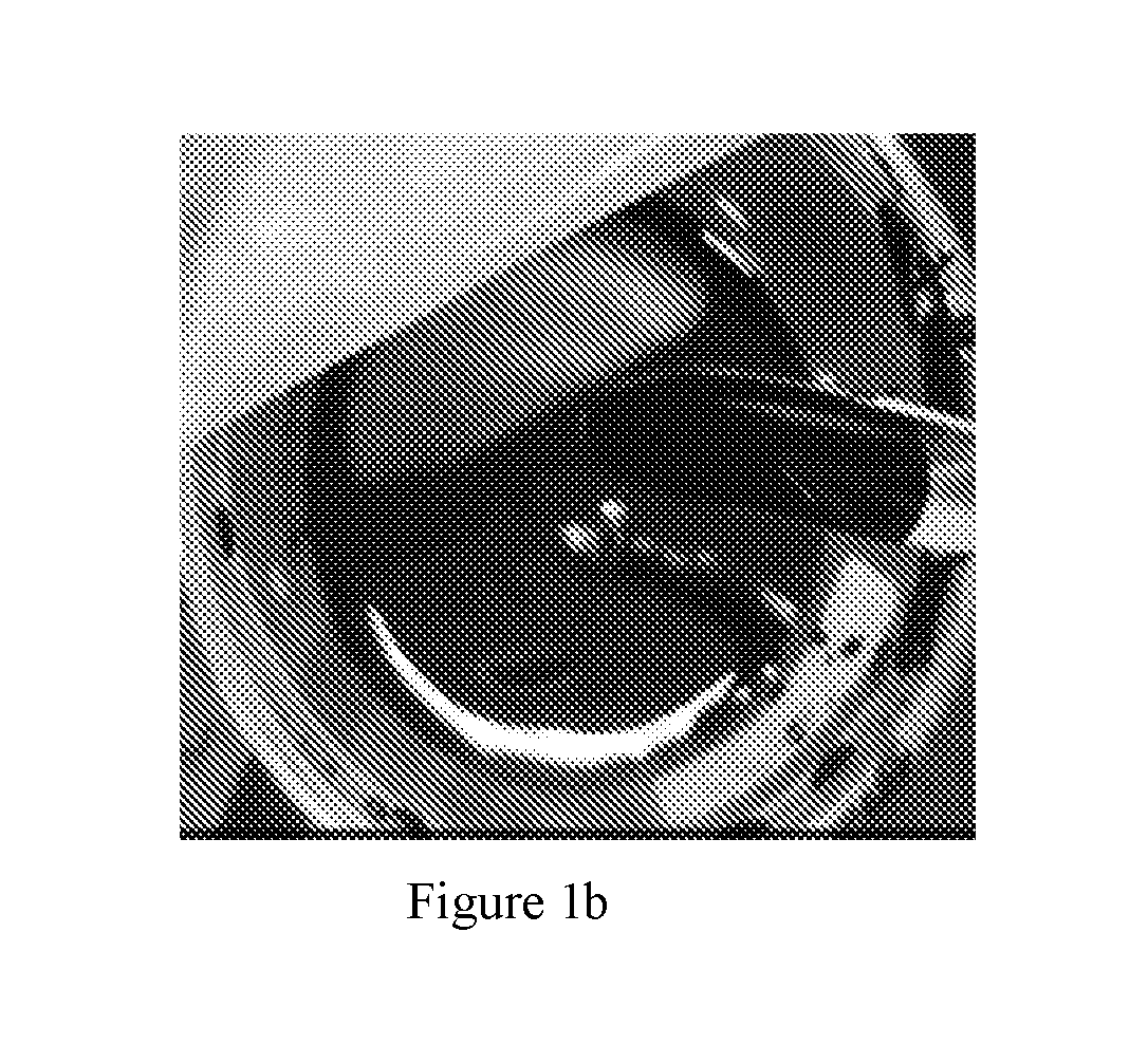 front page image