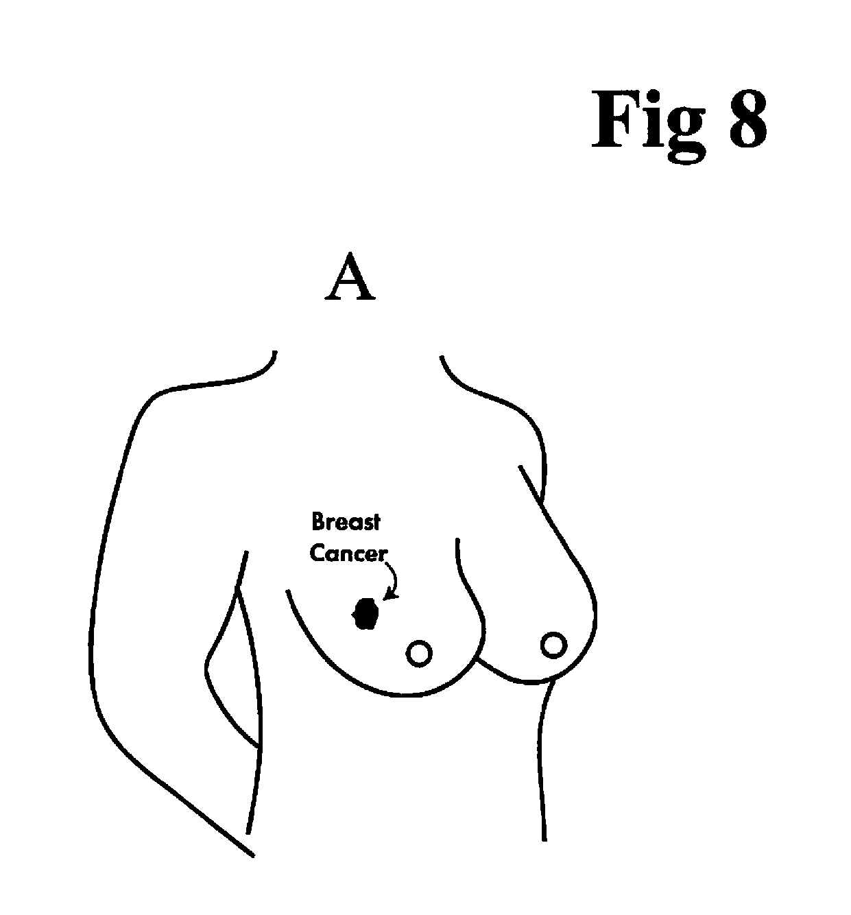 front page image