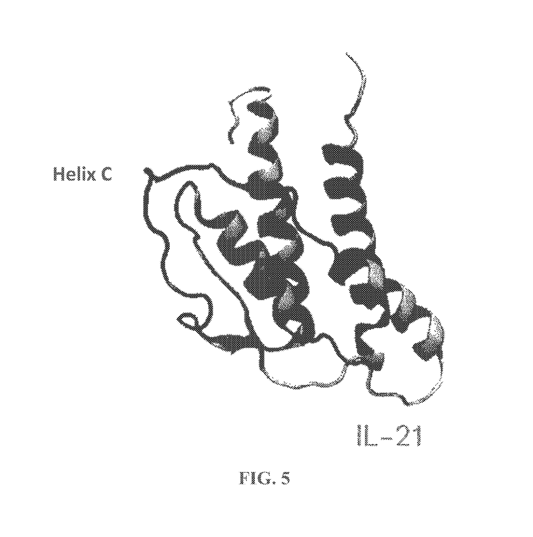 front page image