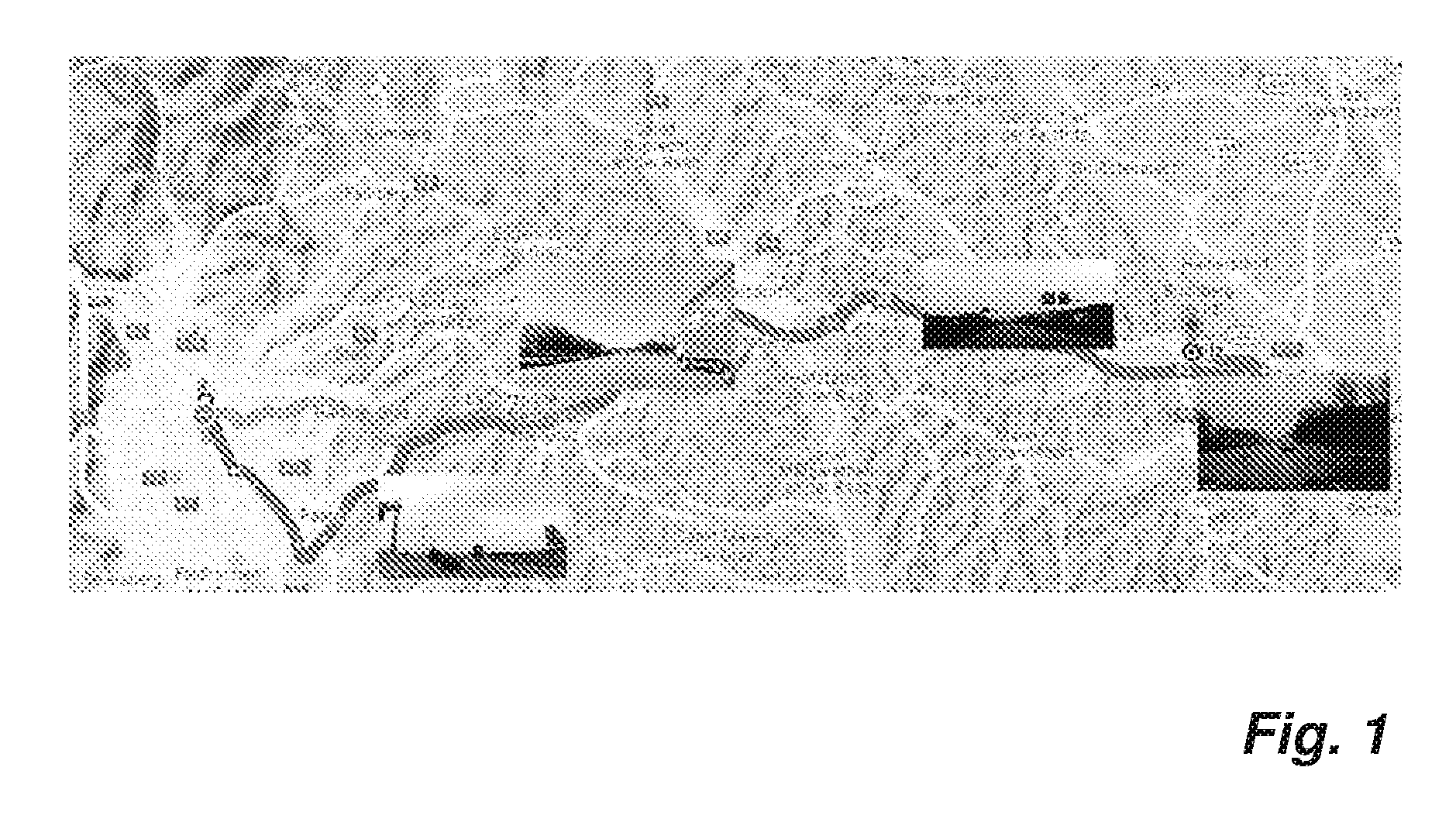 front page image