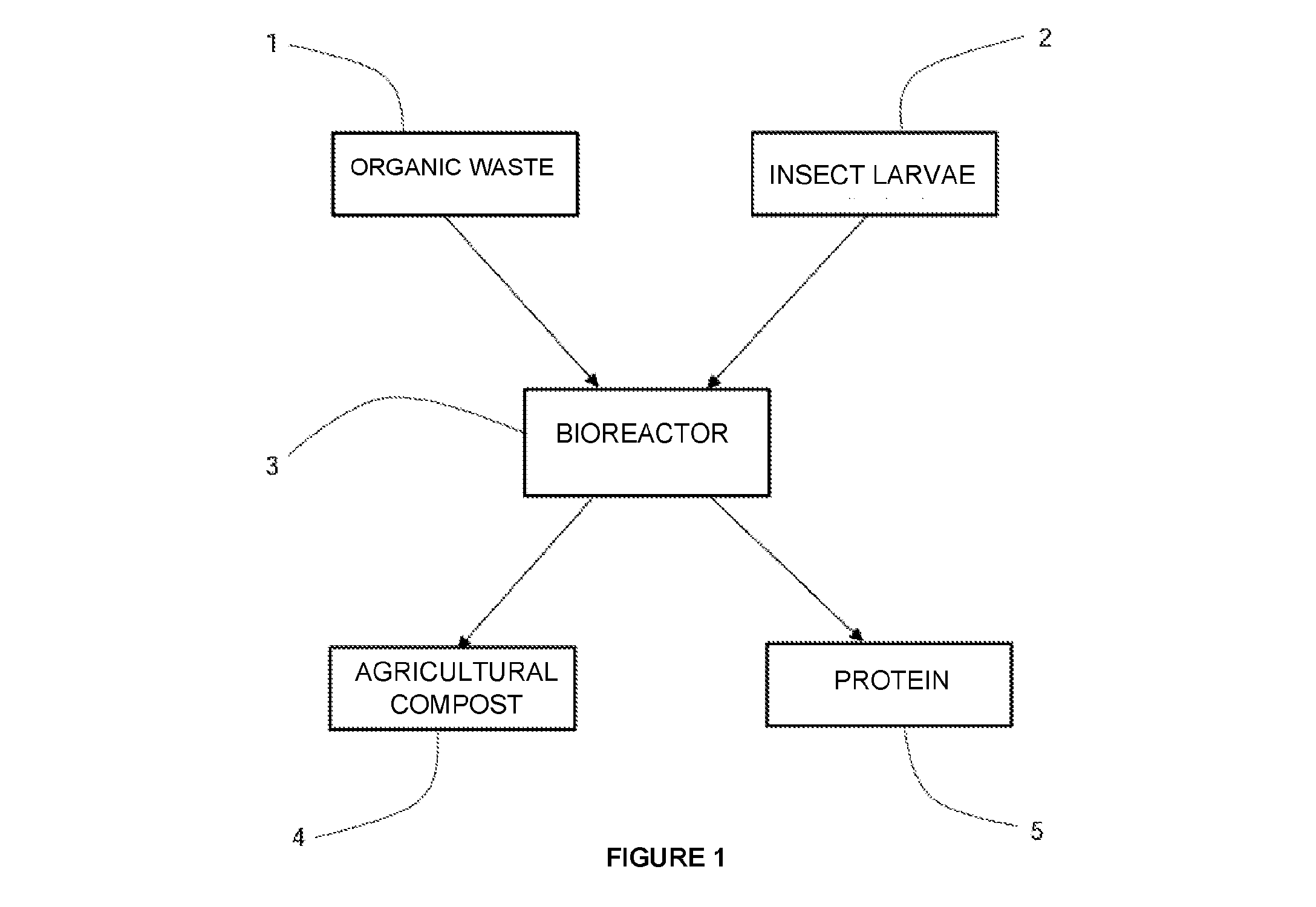 front page image