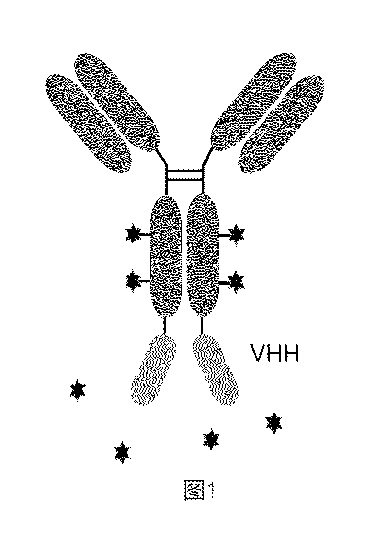 front page image