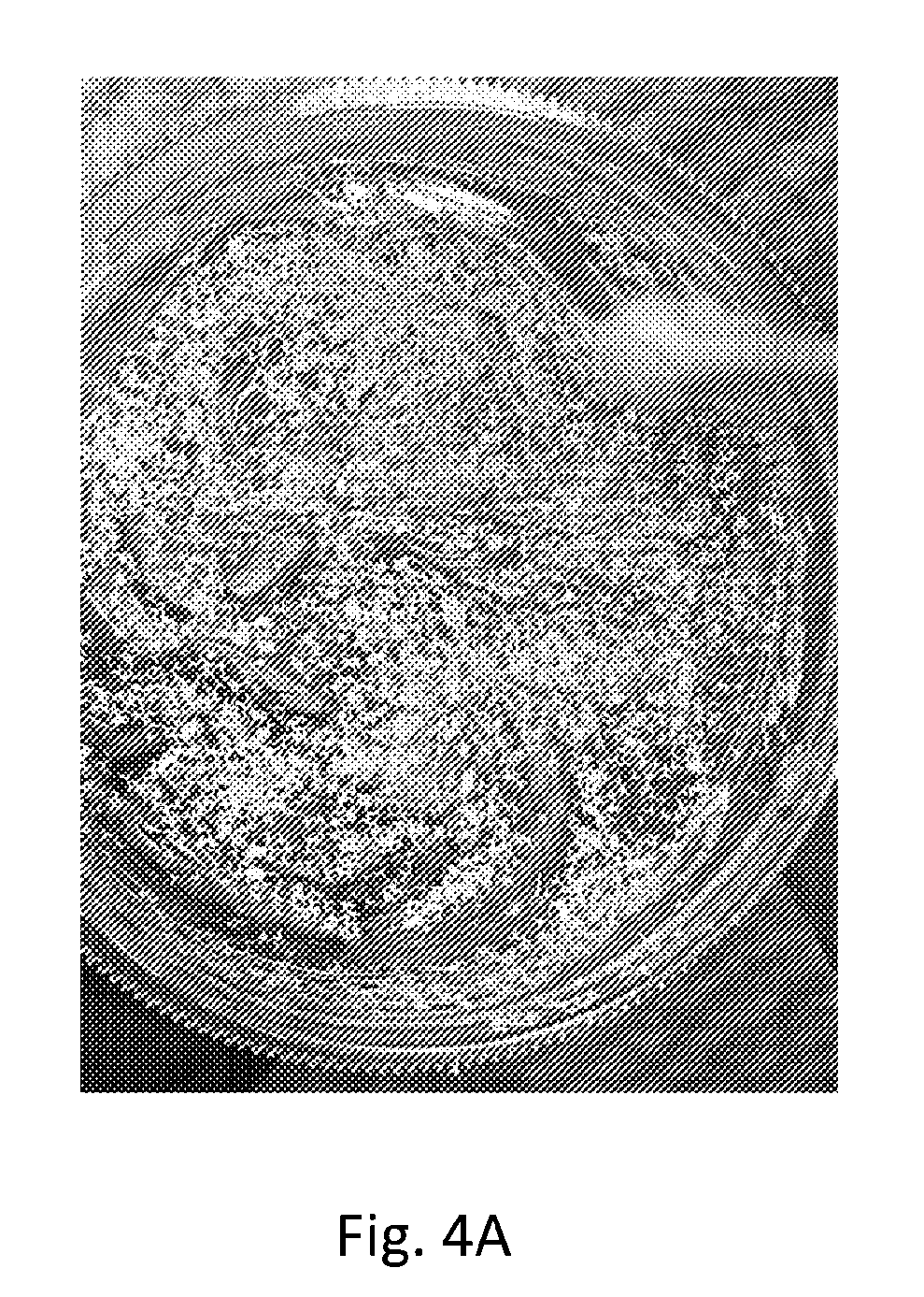 front page image