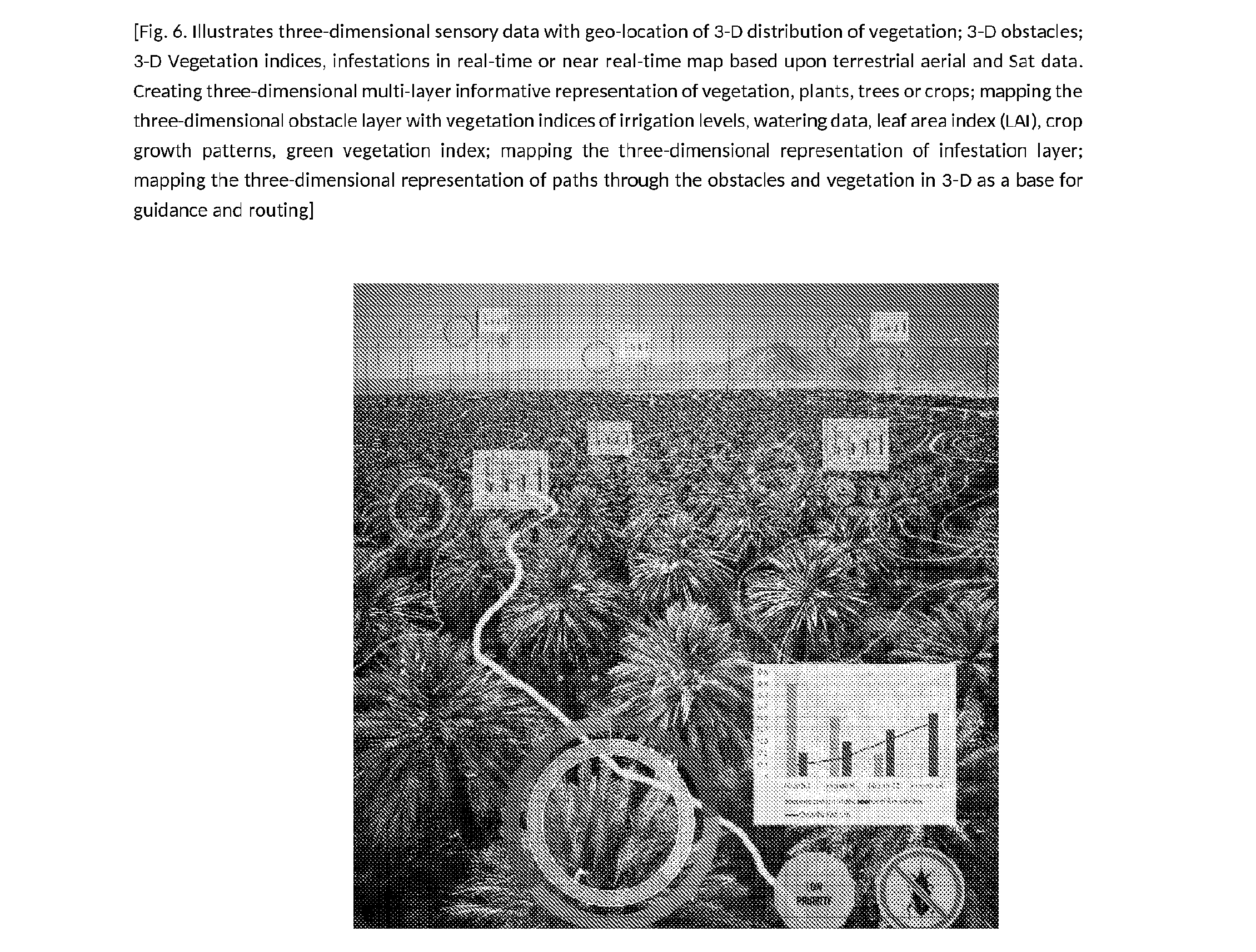 front page image