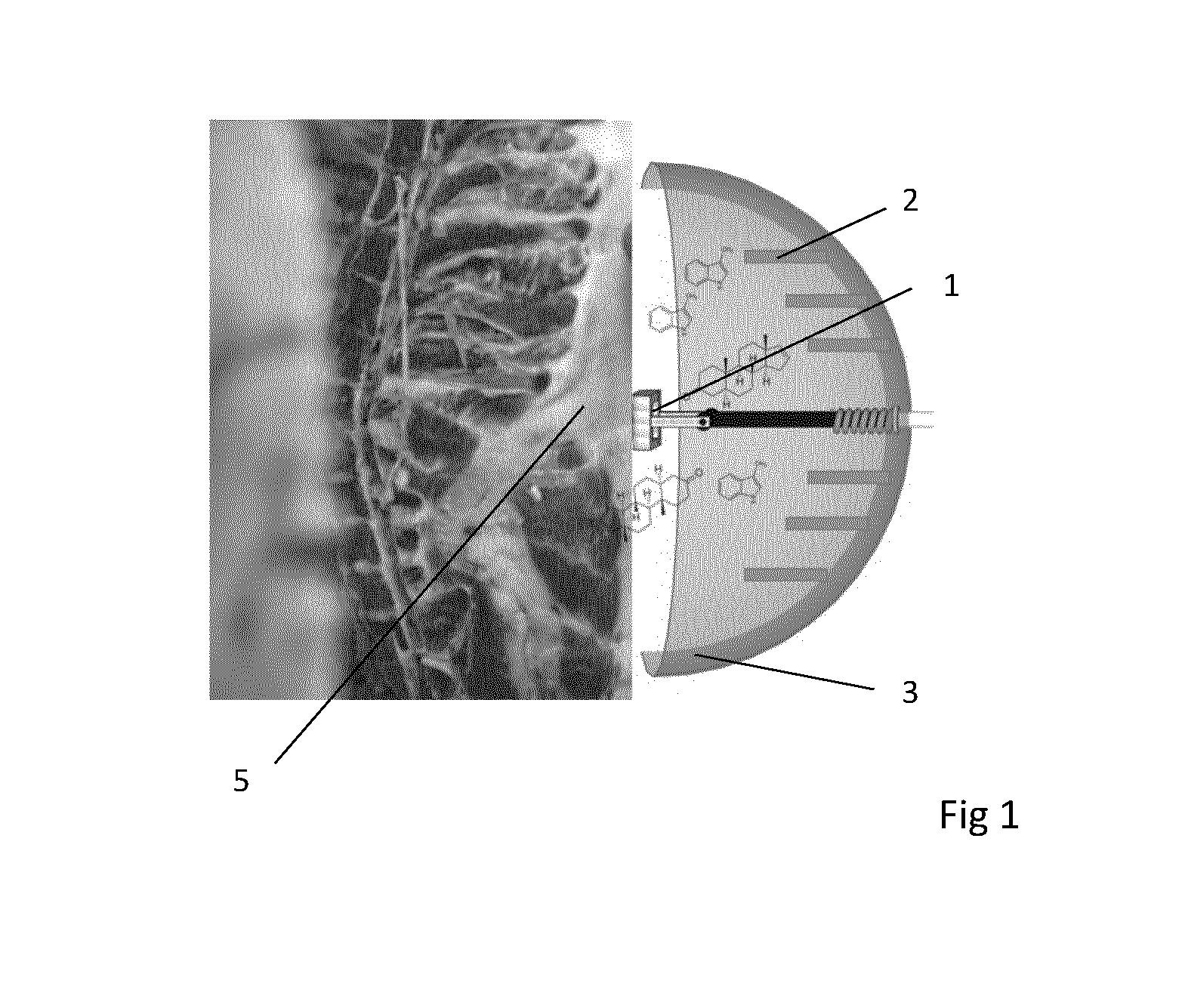 front page image
