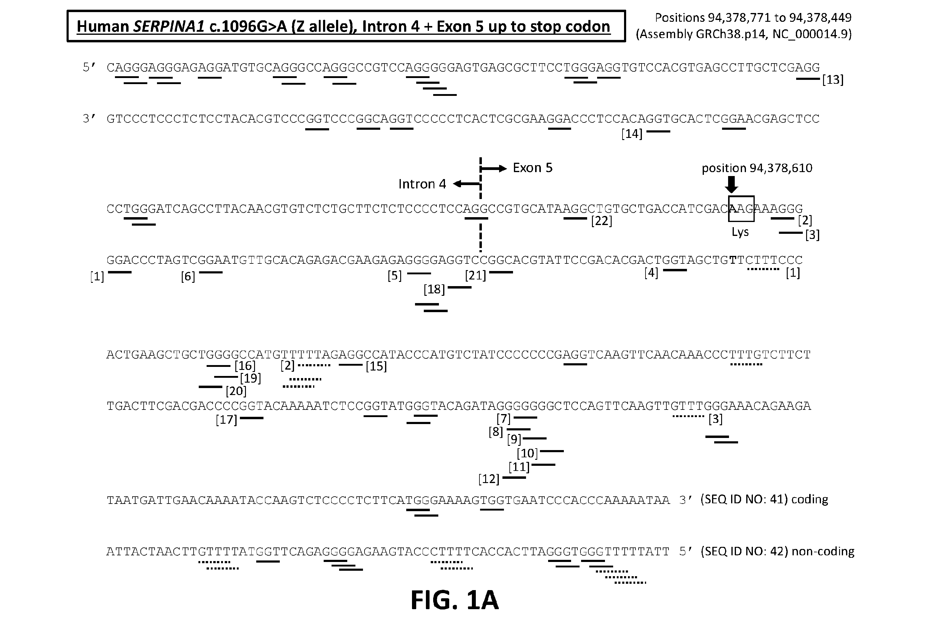 front page image