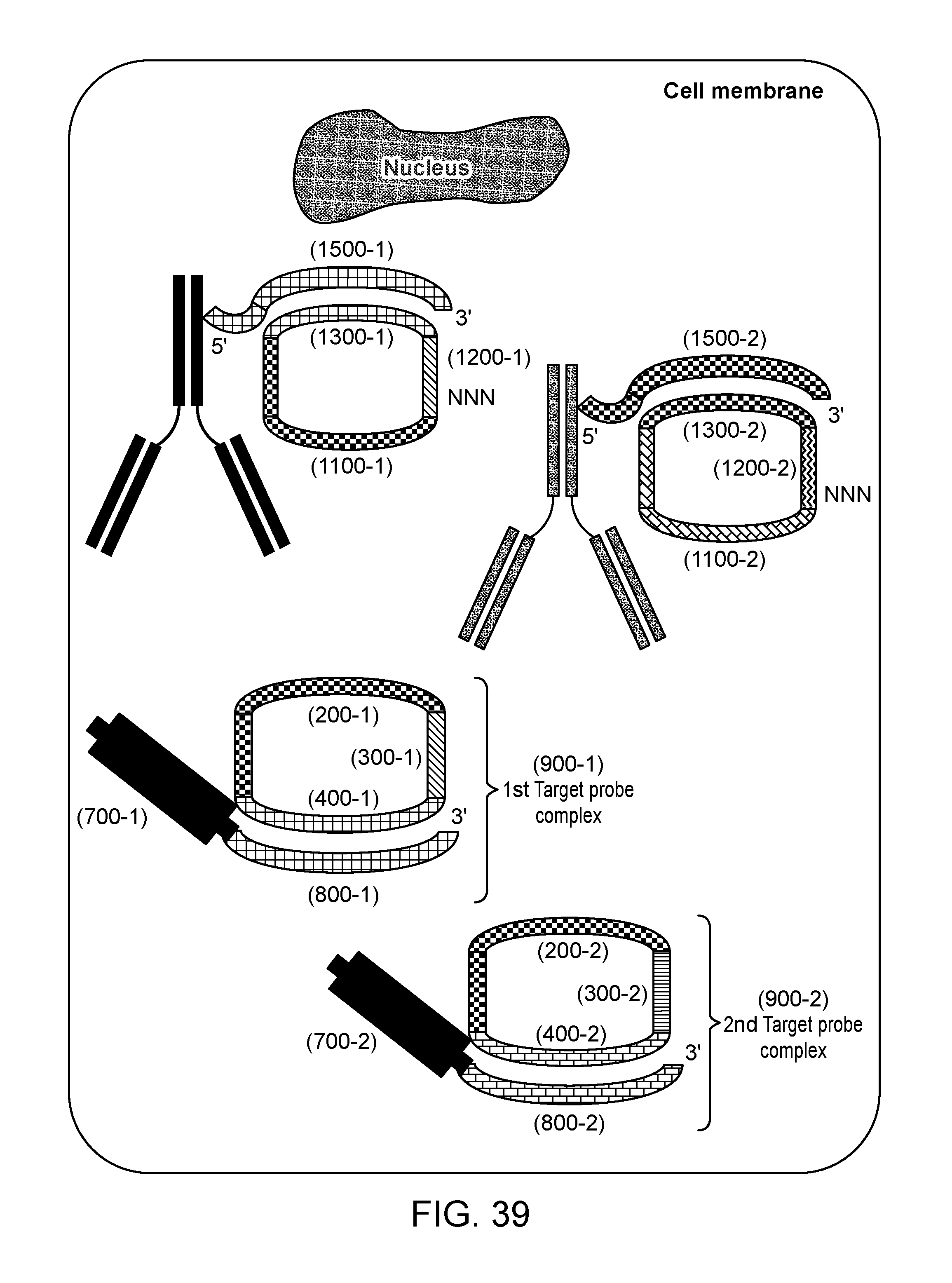 front page image