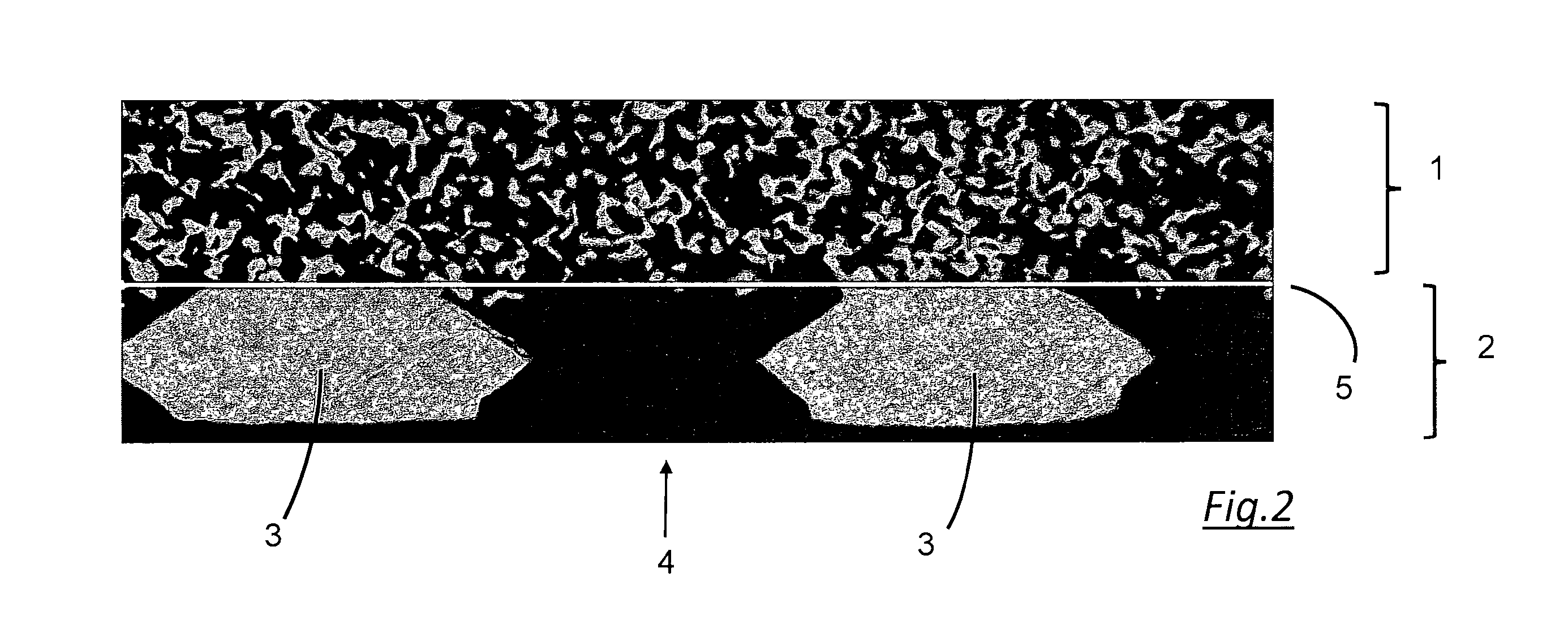 front page image