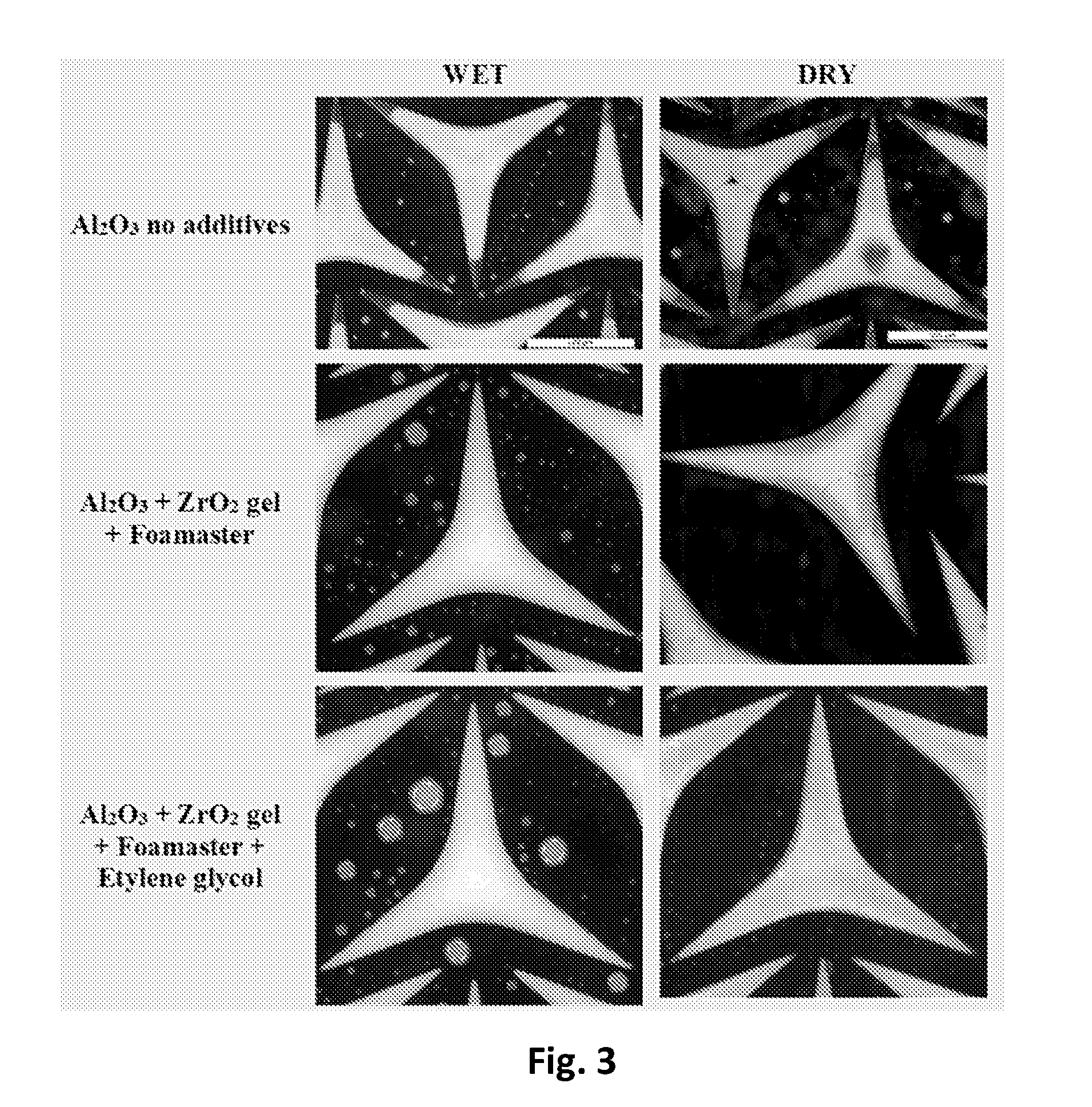 front page image