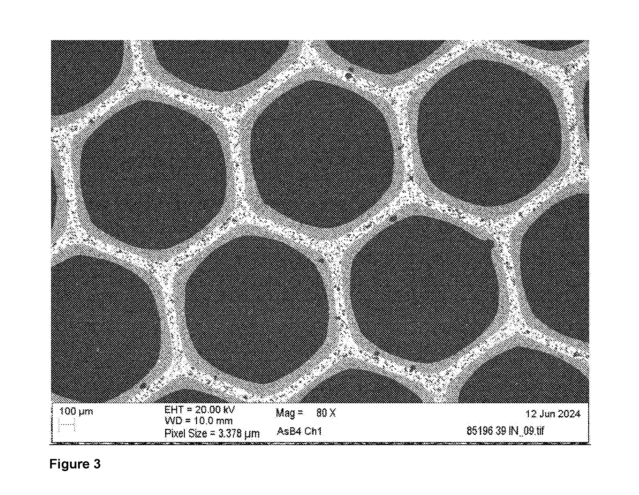 front page image