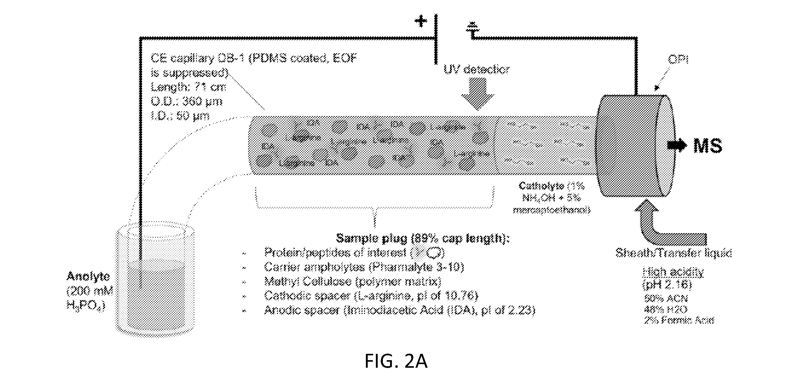front page image