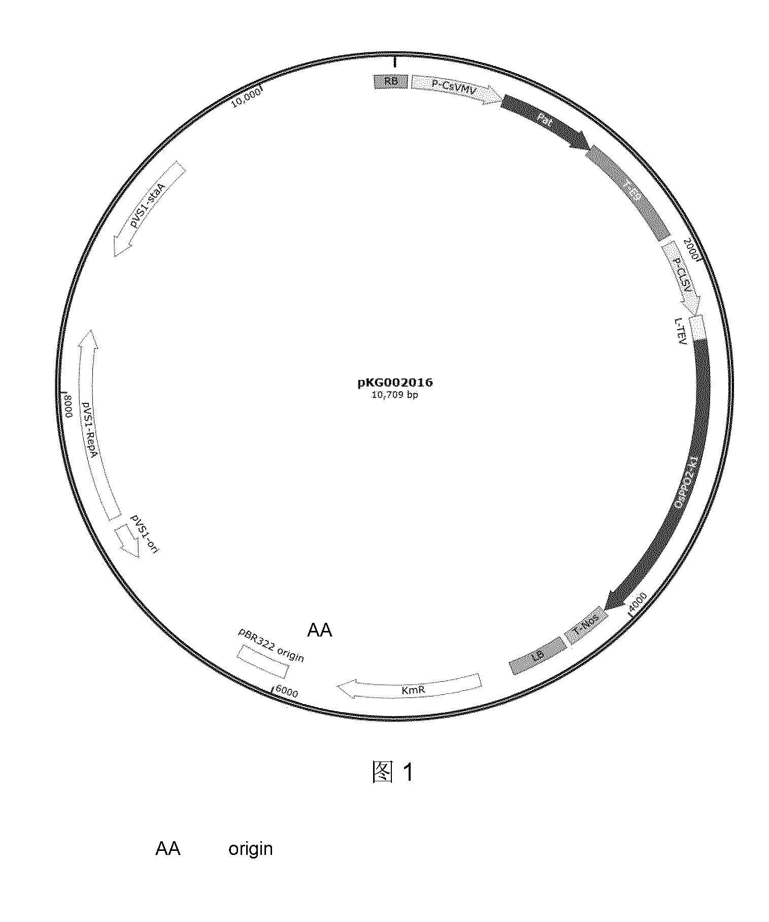 front page image