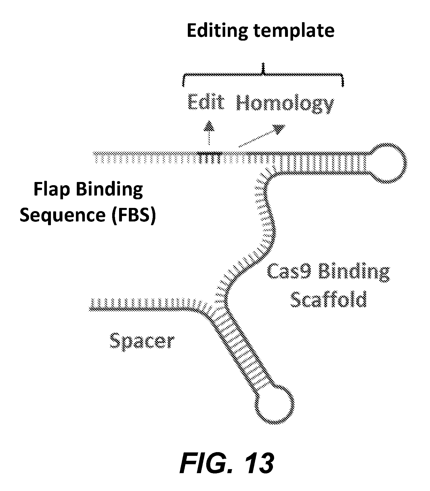 front page image
