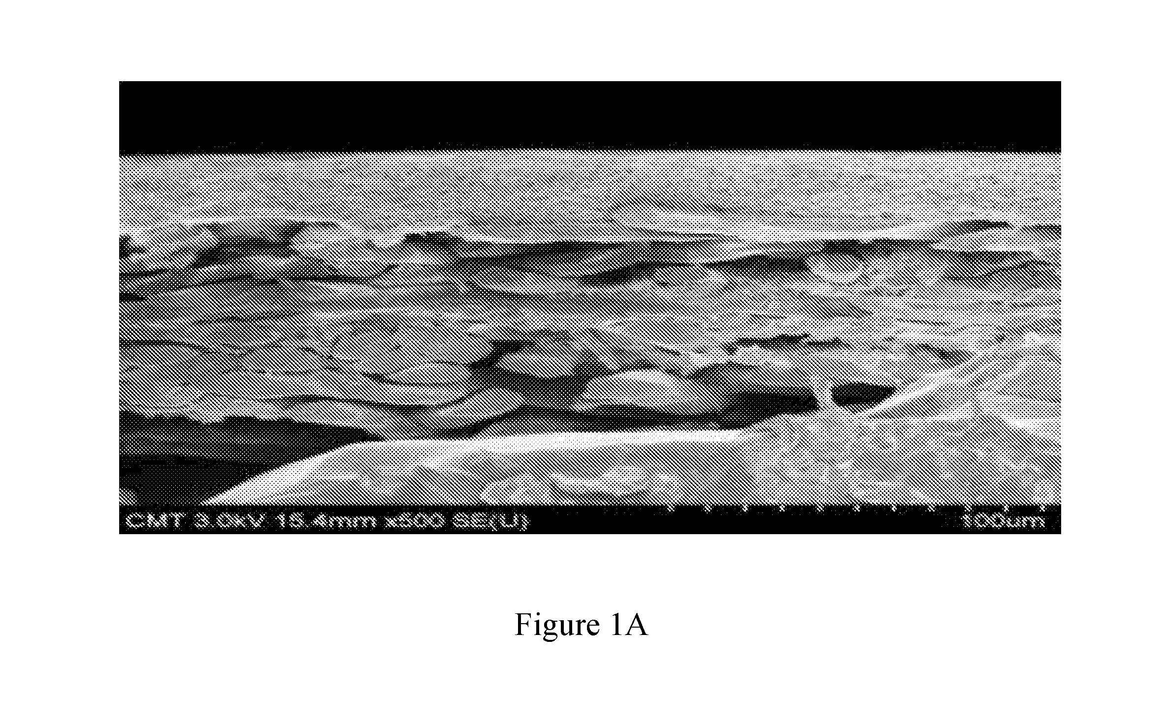 front page image