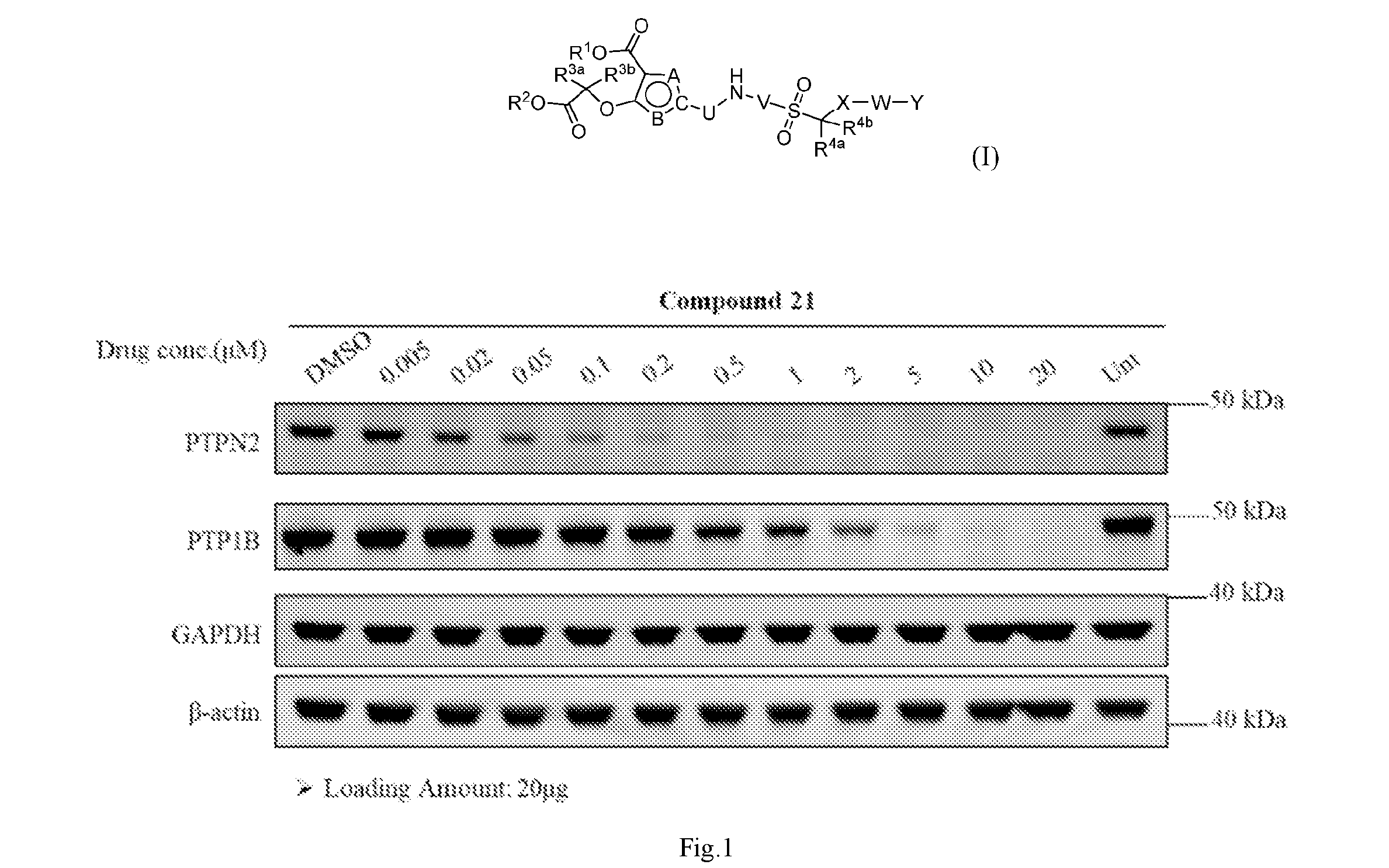 front page image