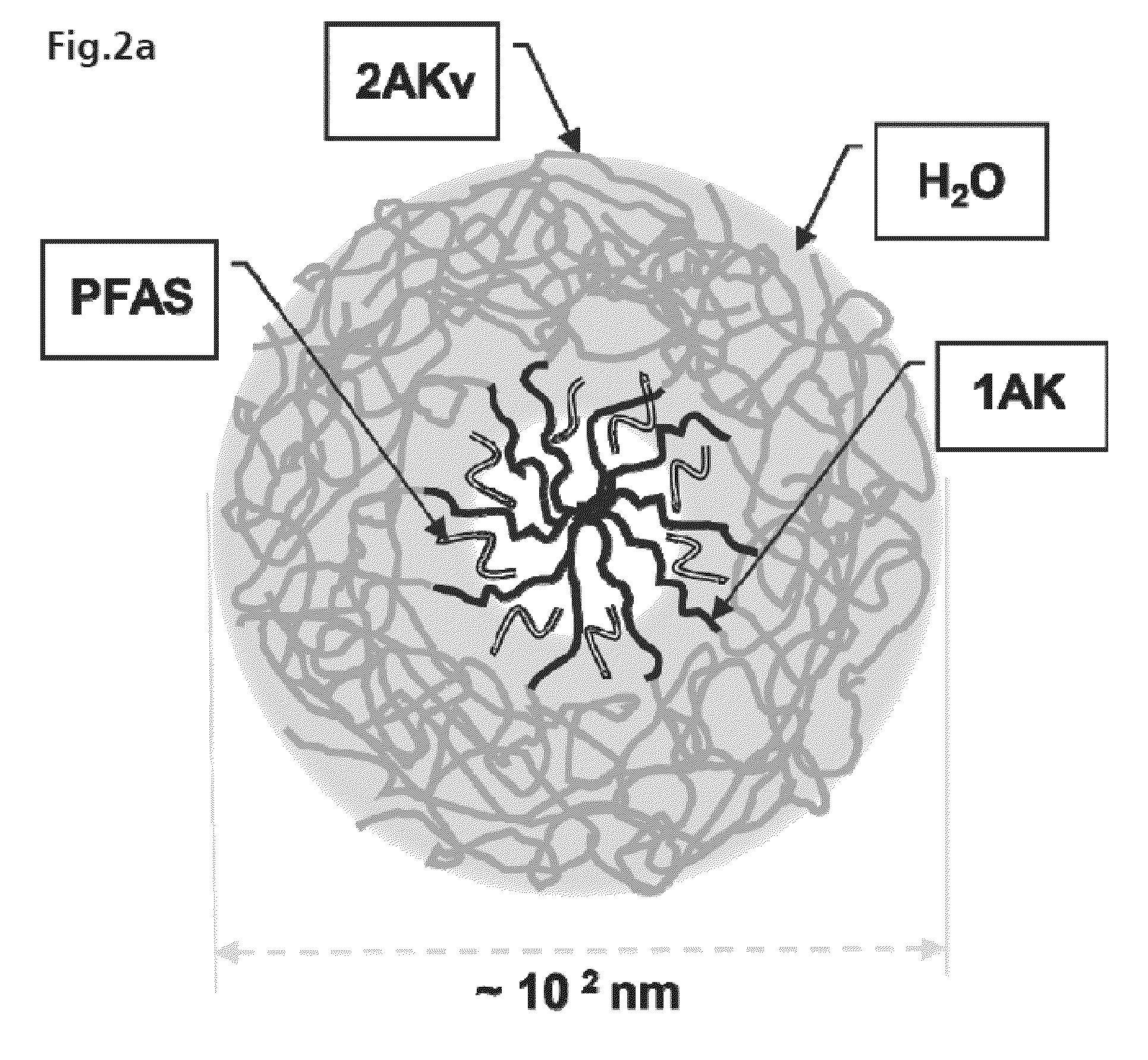 front page image