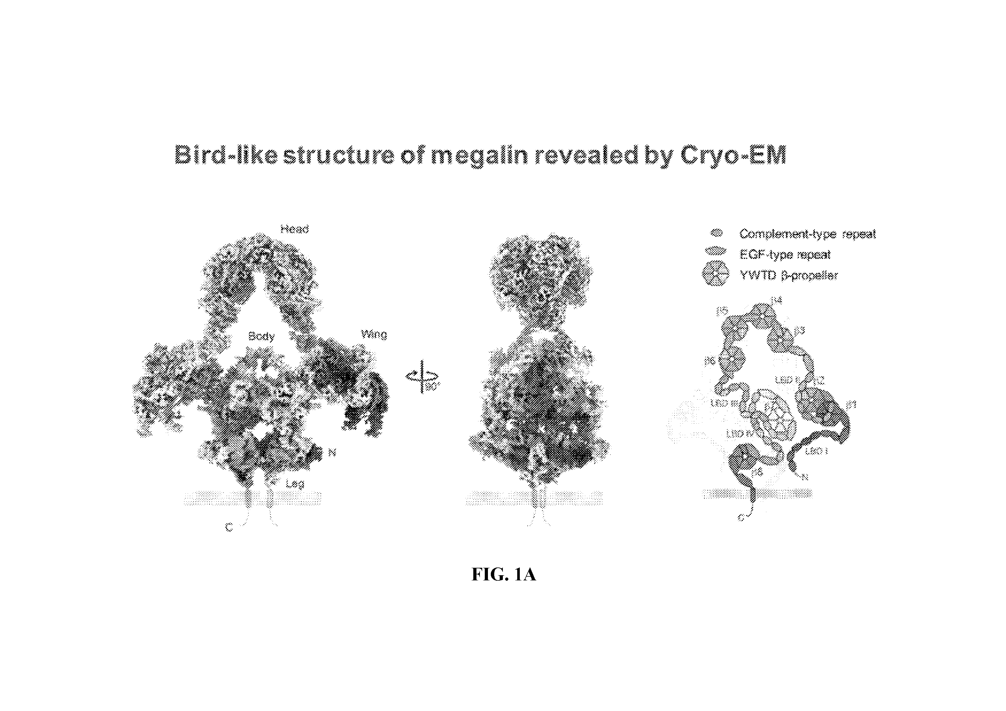 front page image