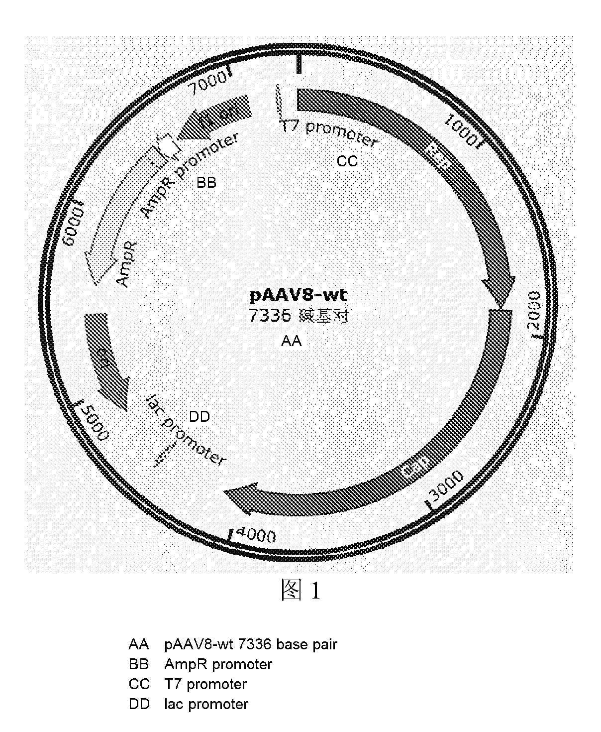 front page image