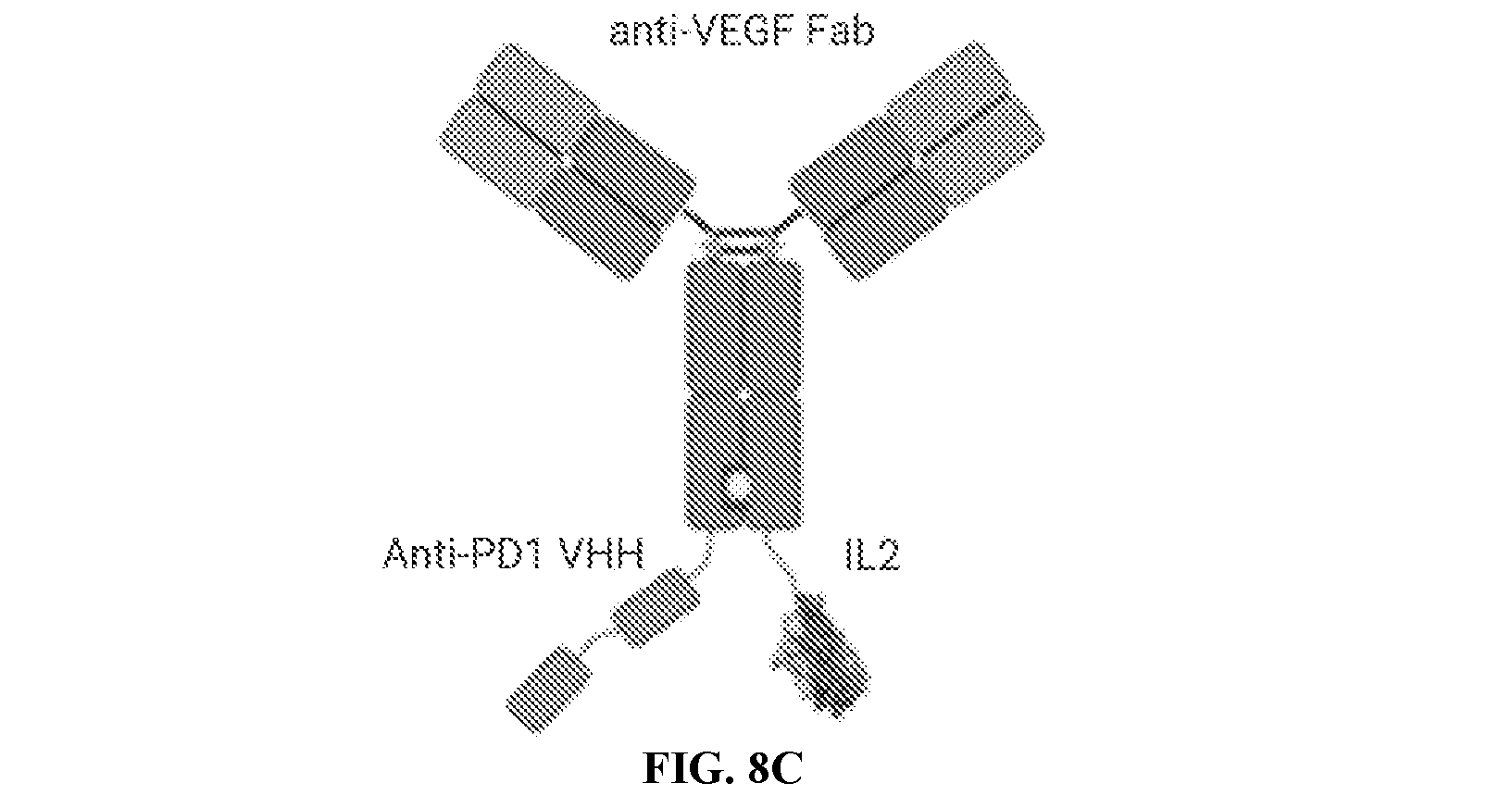 front page image