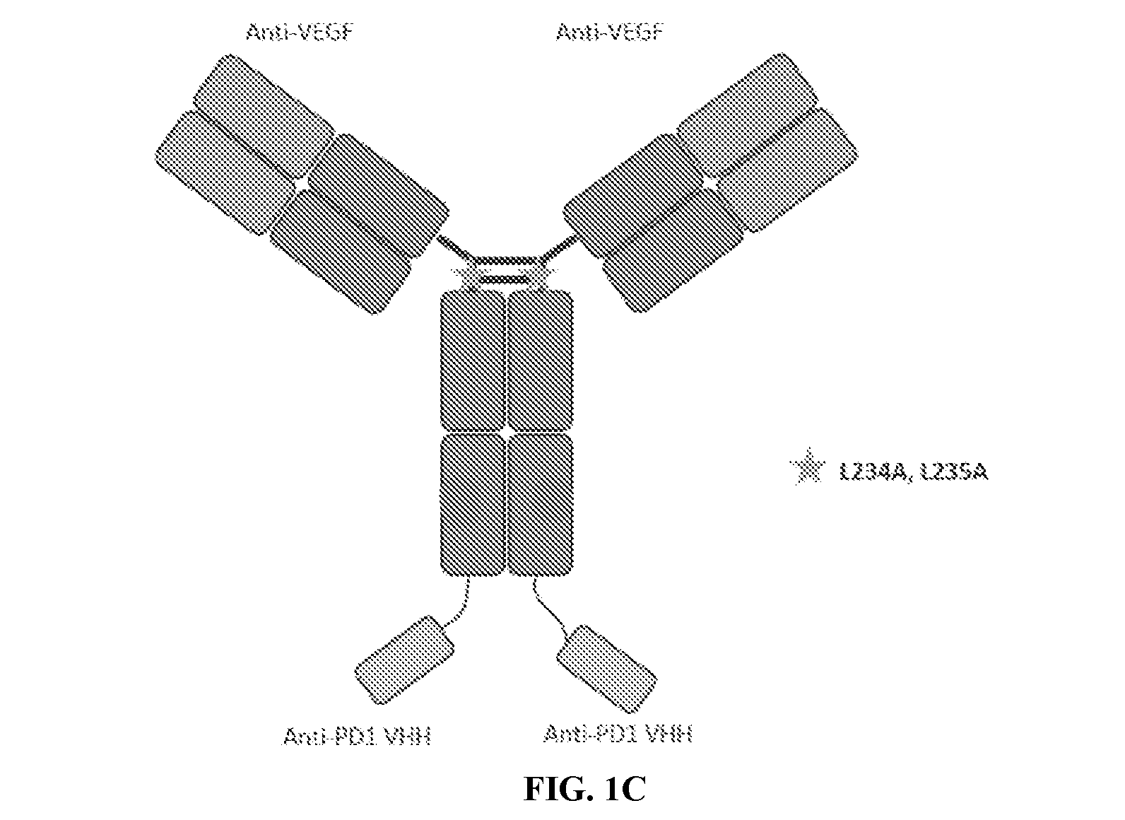 front page image