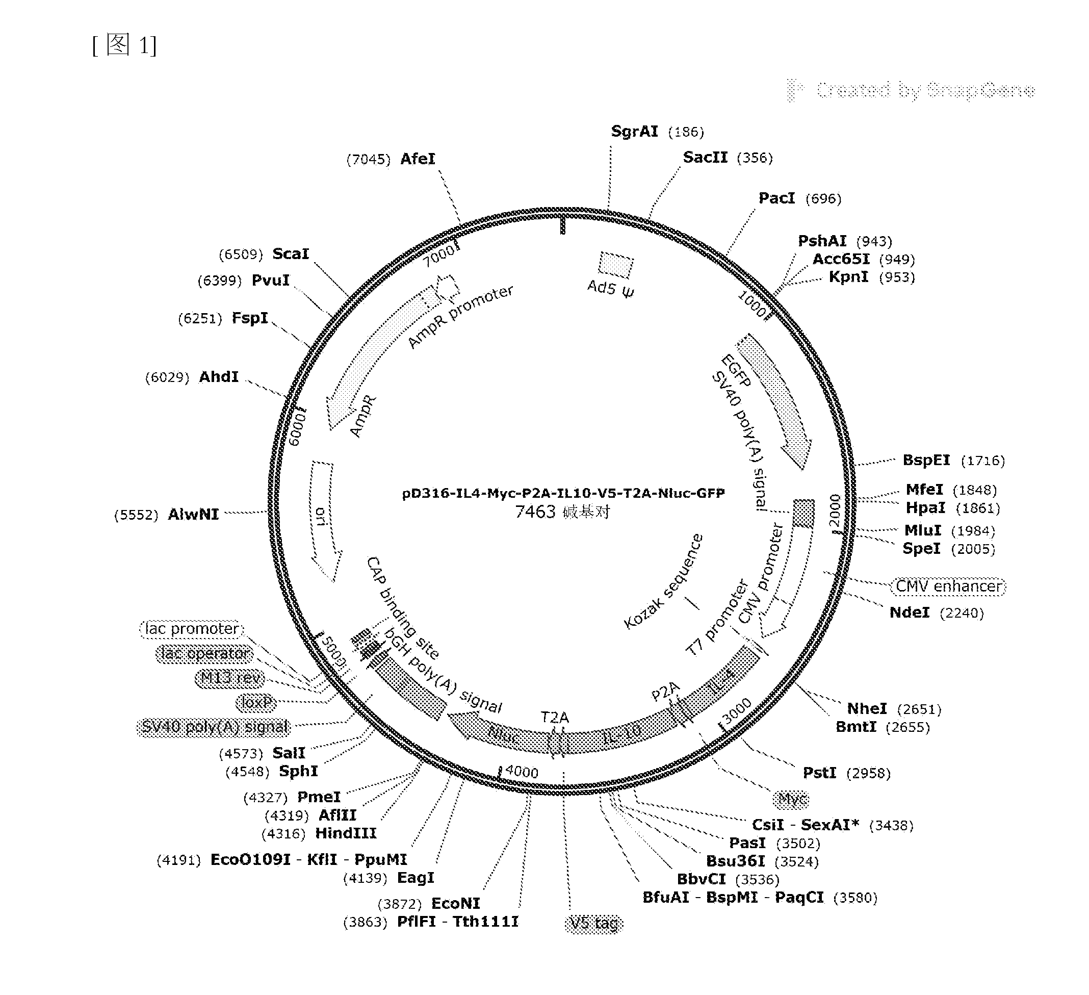 front page image