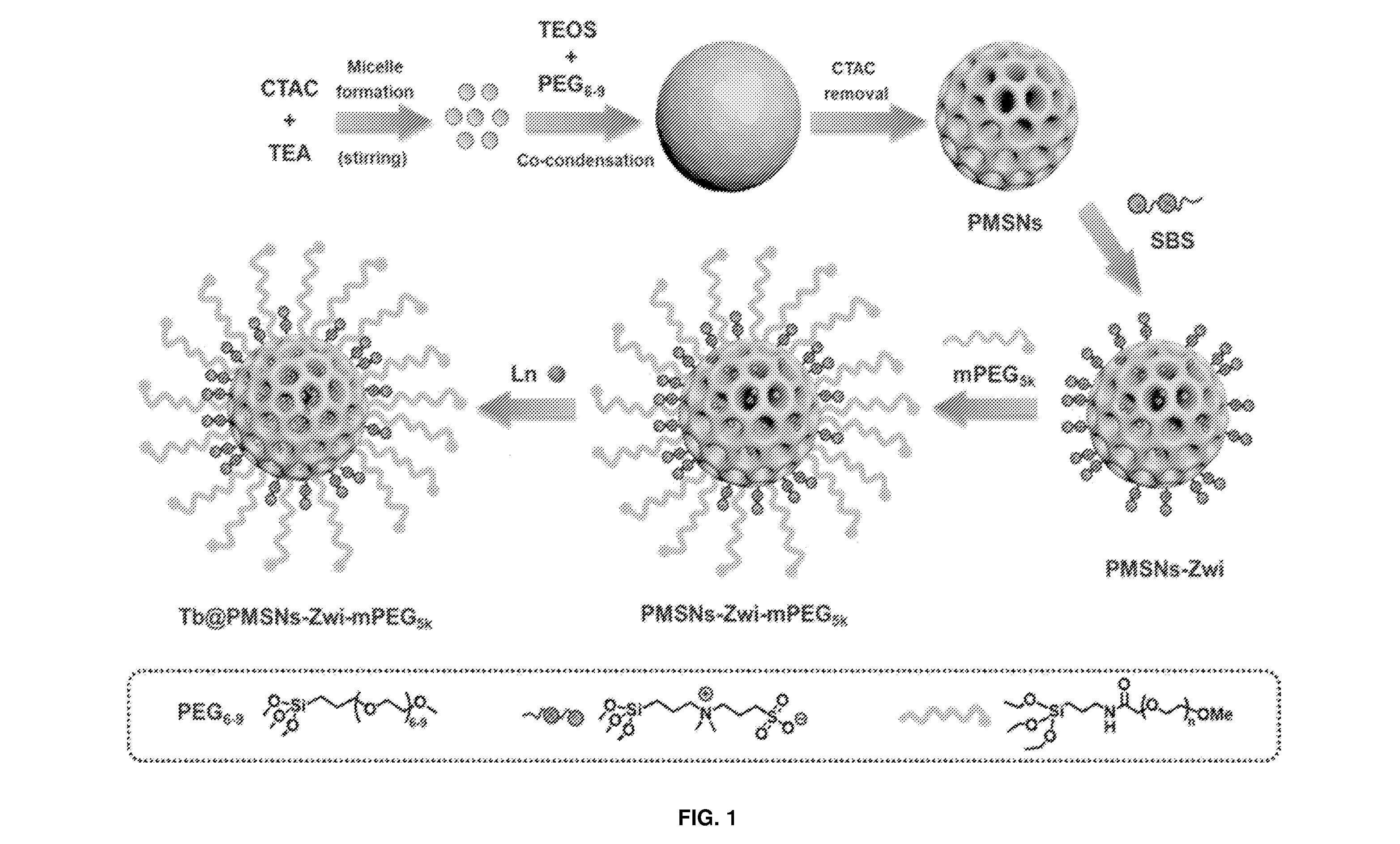 front page image