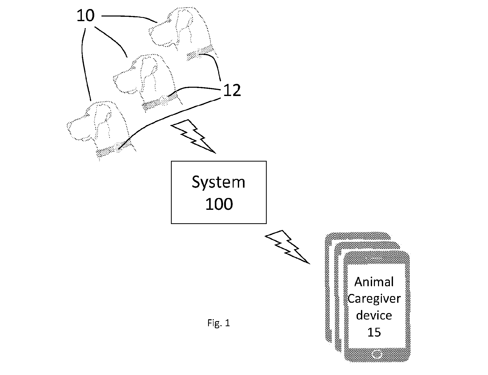 front page image