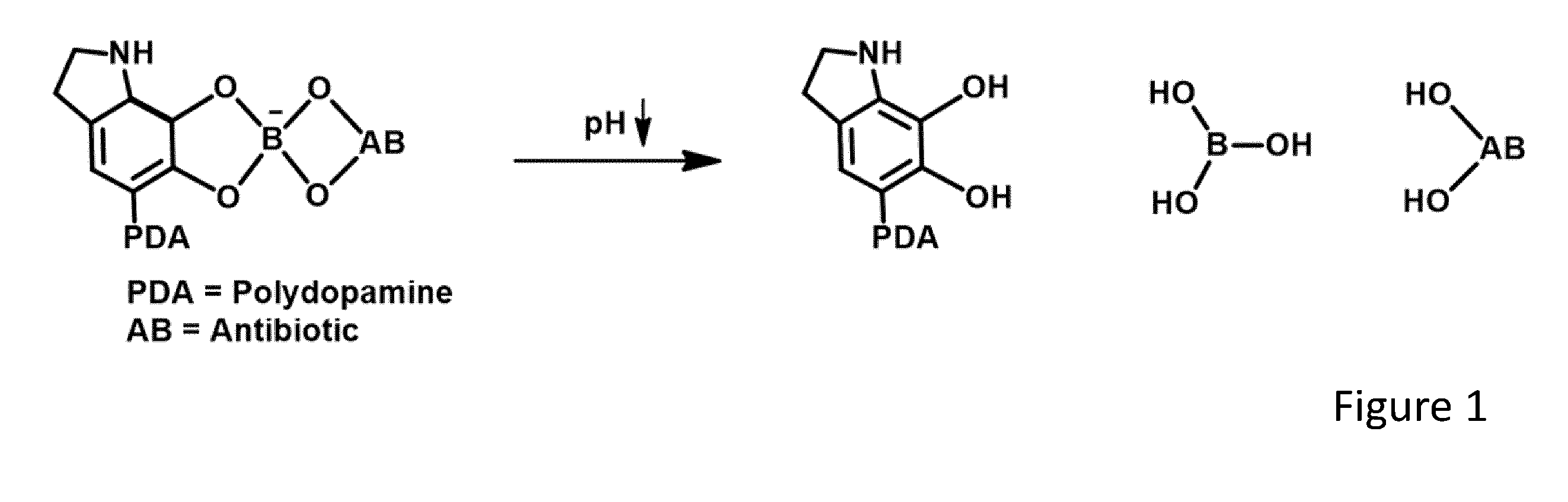 front page image