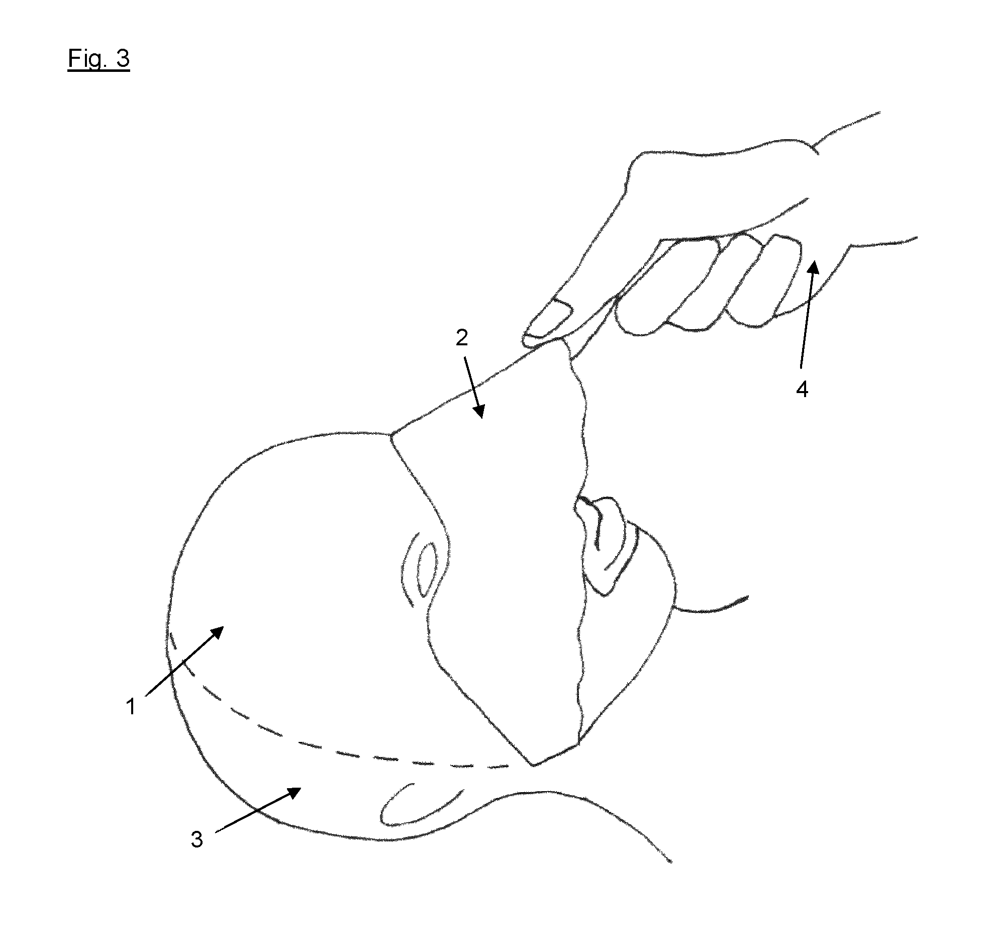 front page image