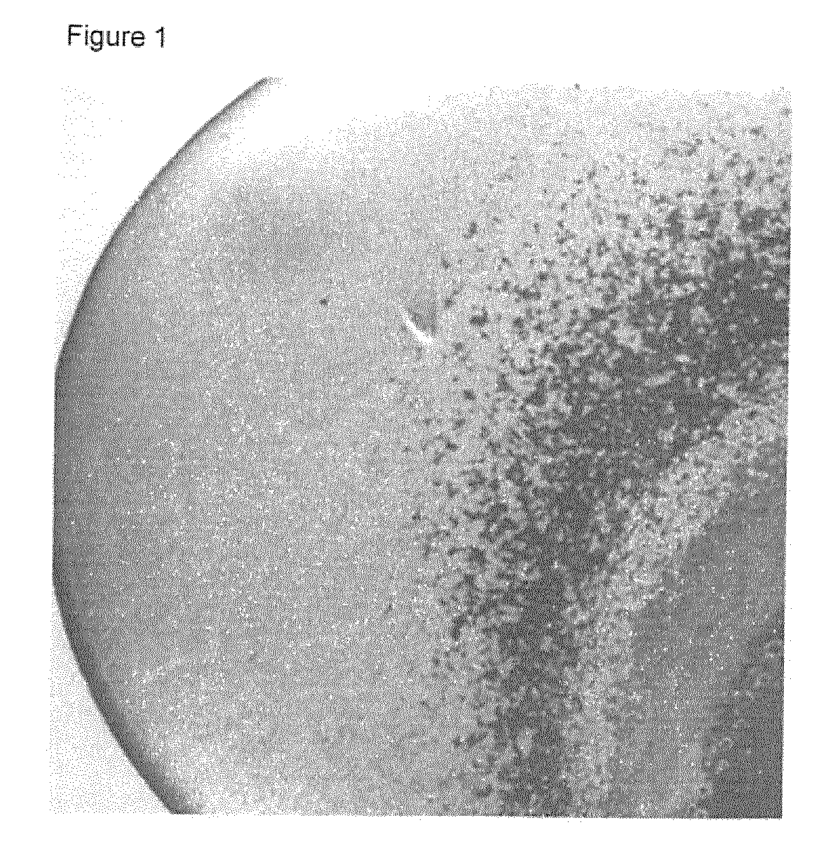 front page image