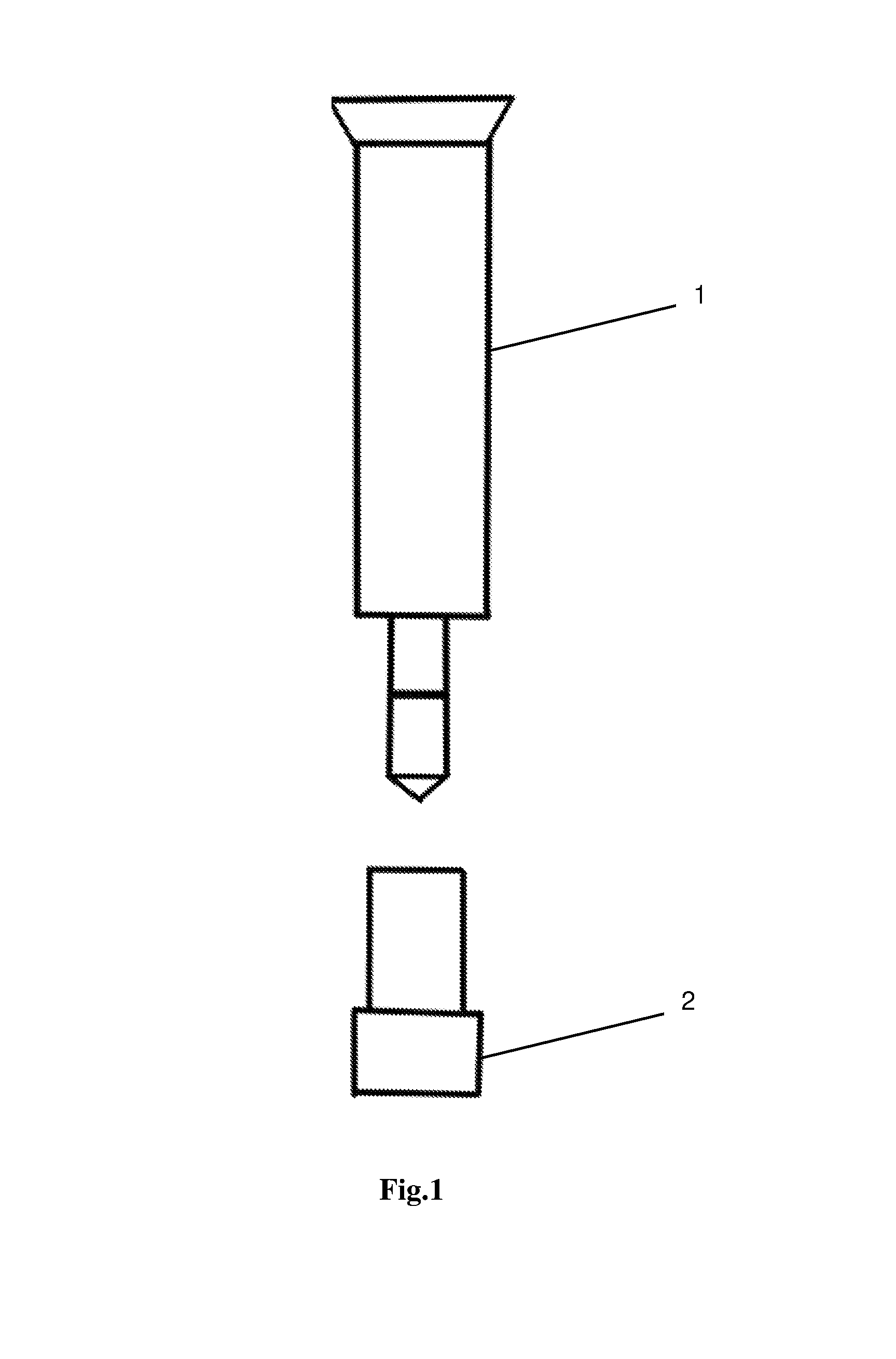 front page image