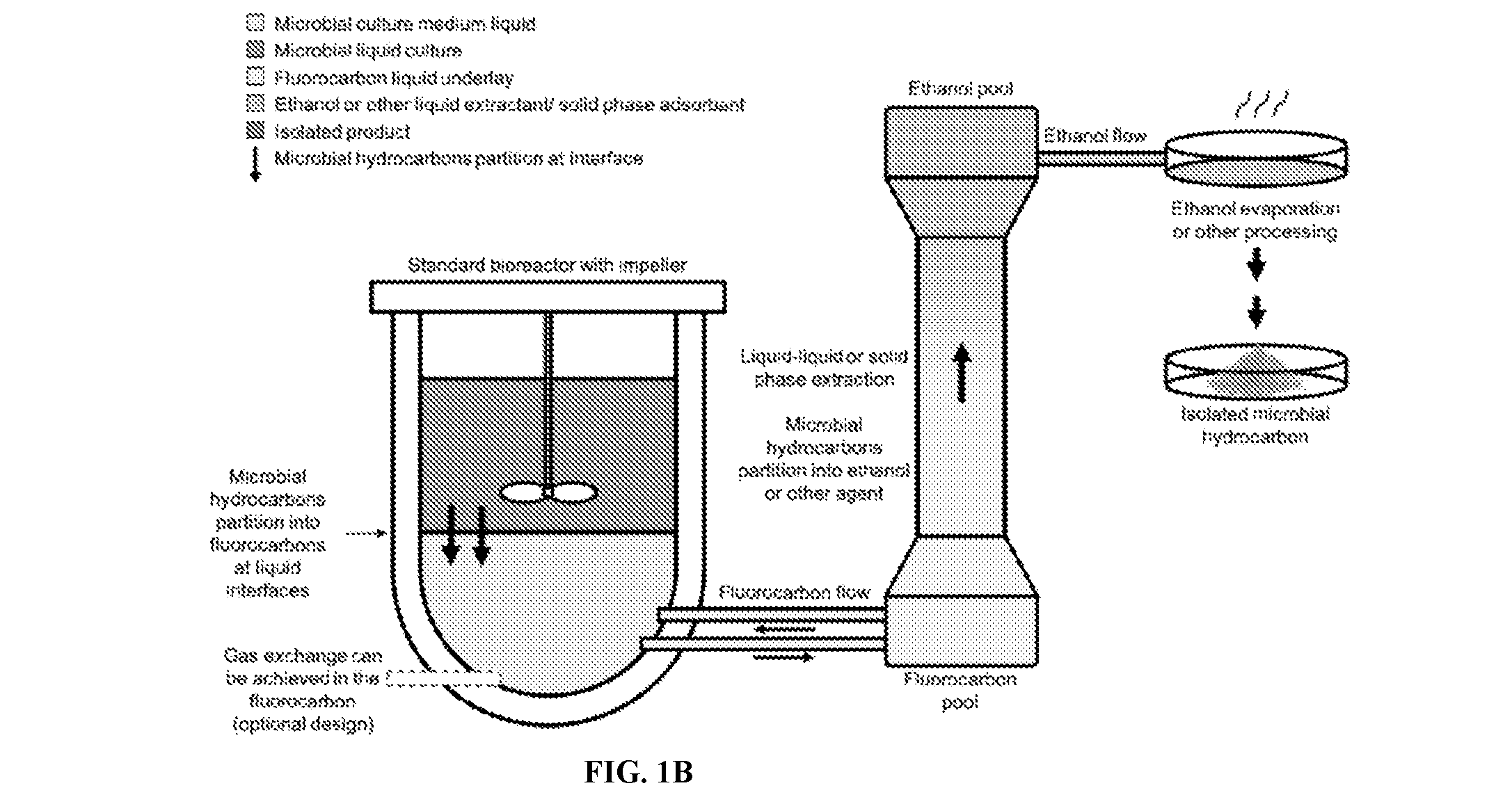 front page image