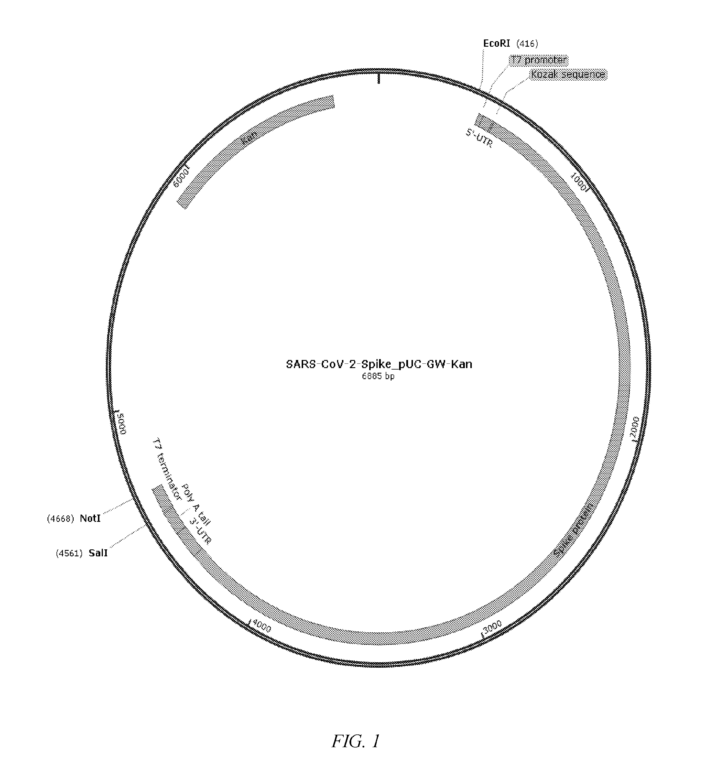 front page image