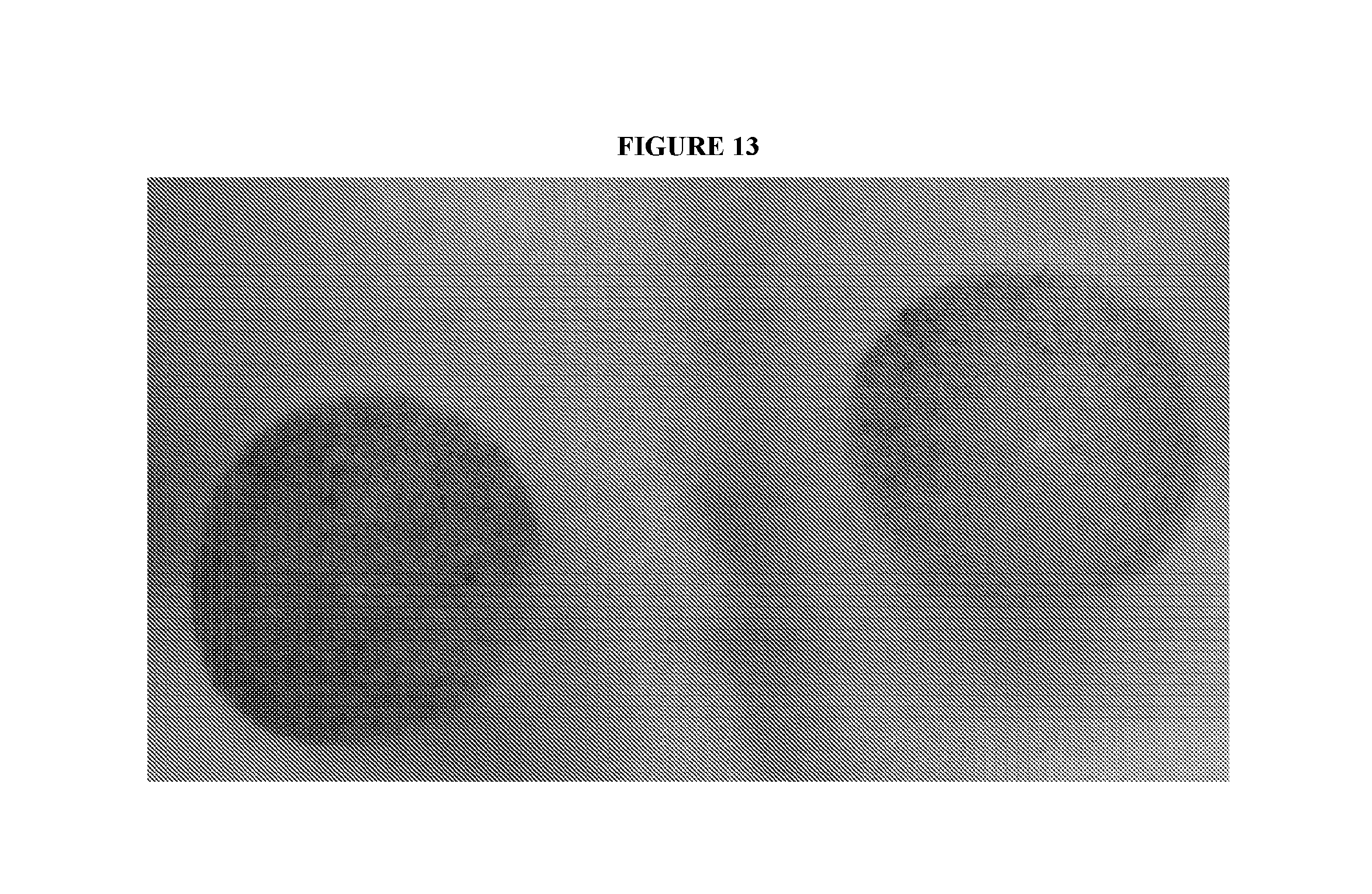 front page image