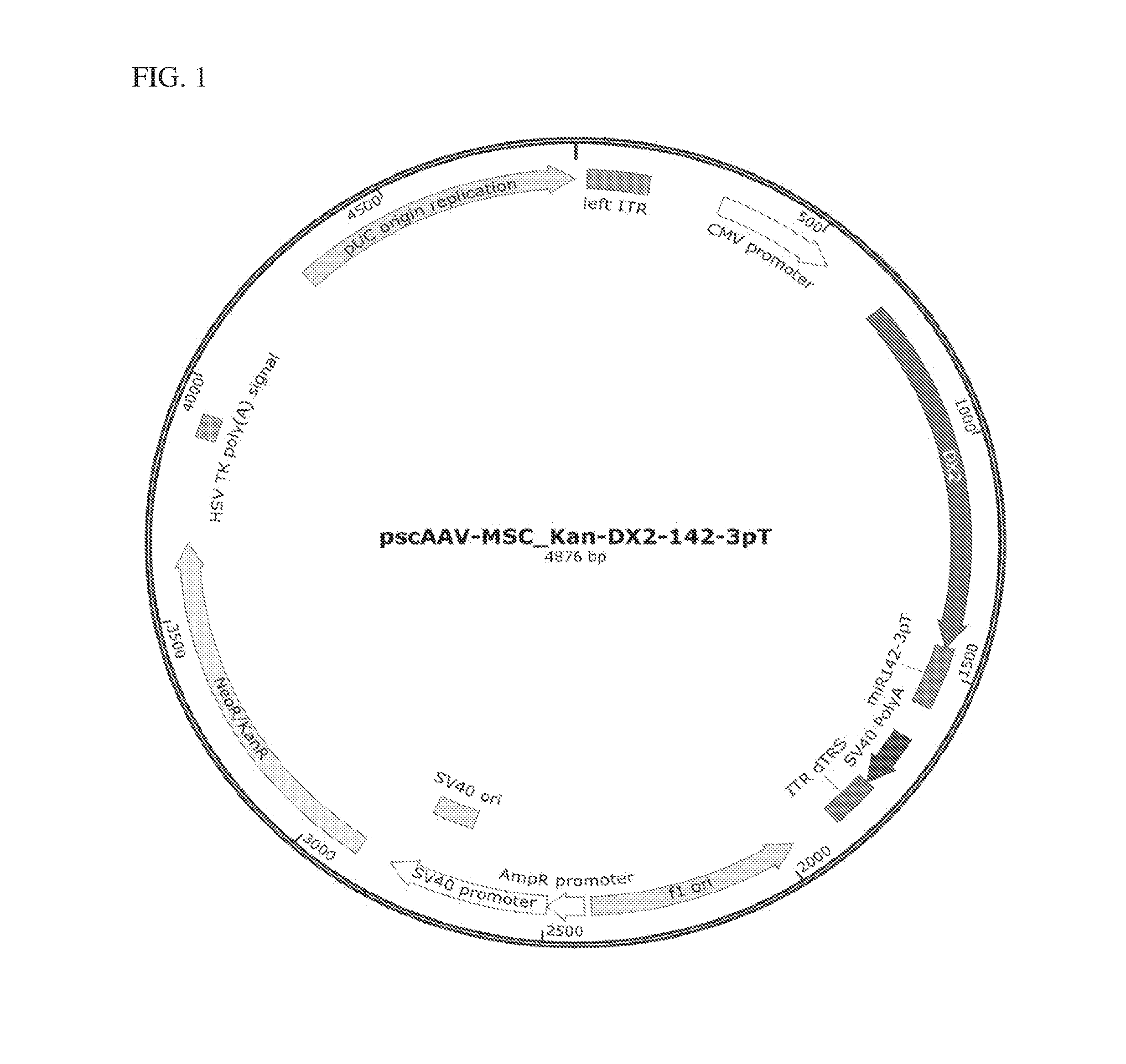 front page image