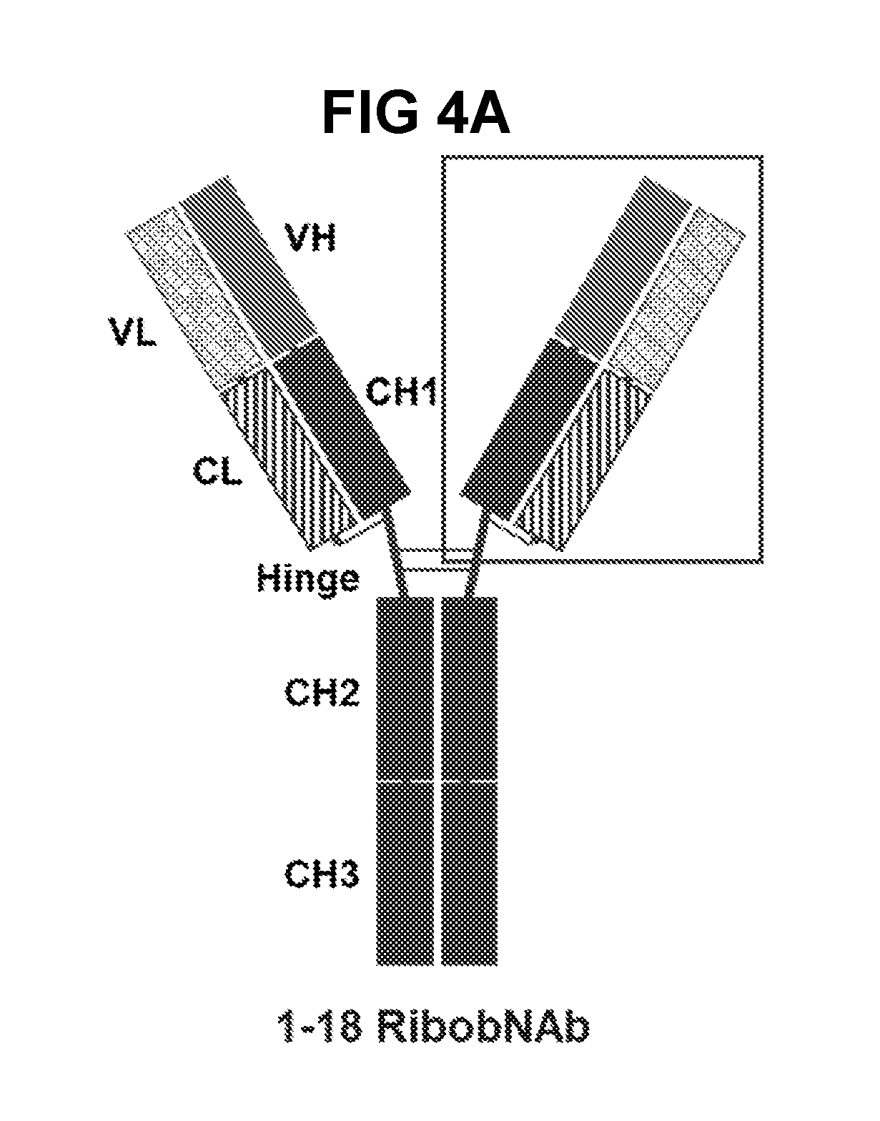 front page image