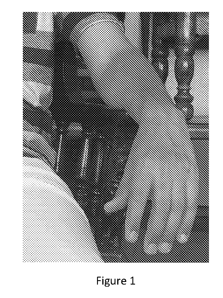 front page image