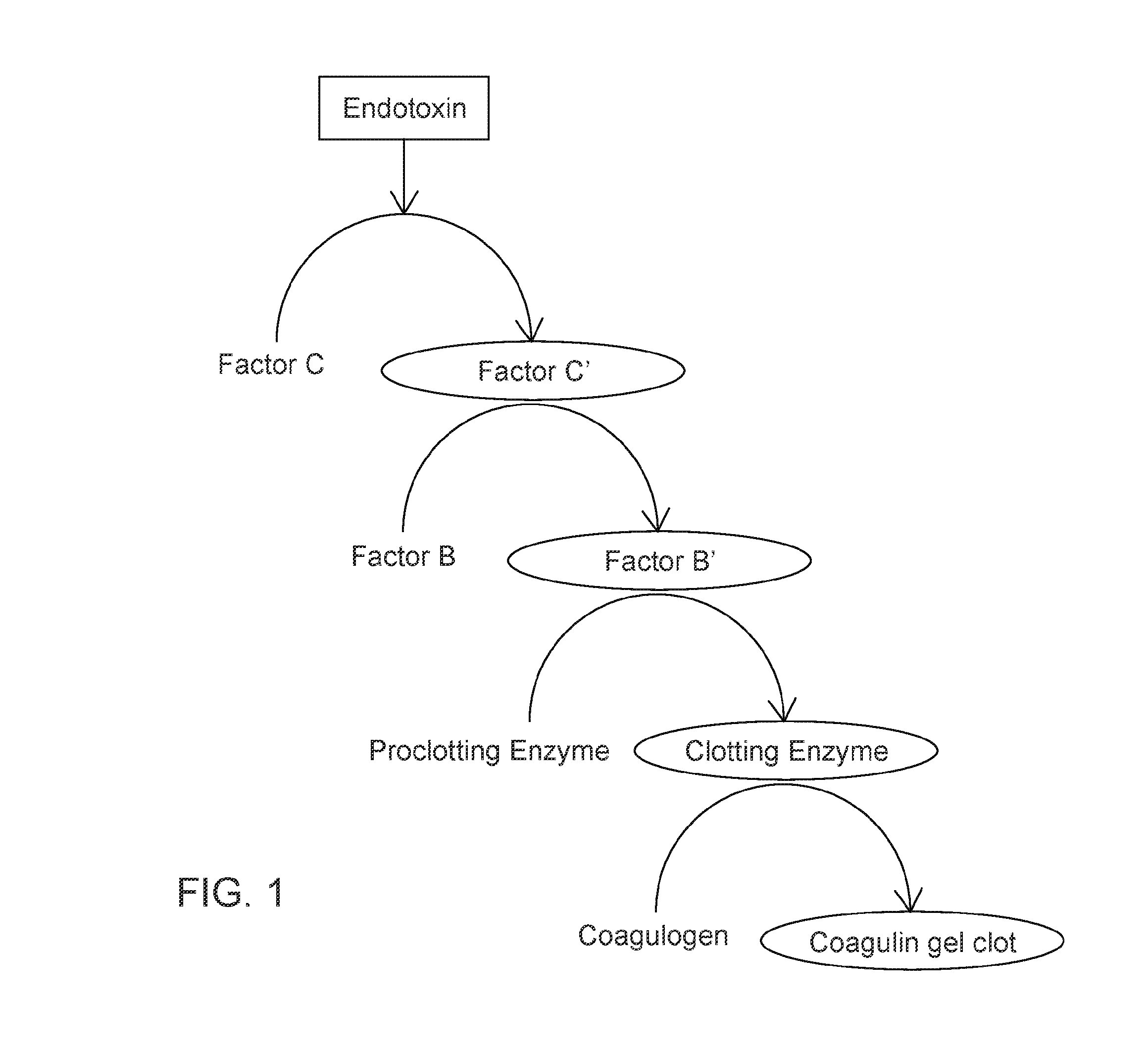 front page image